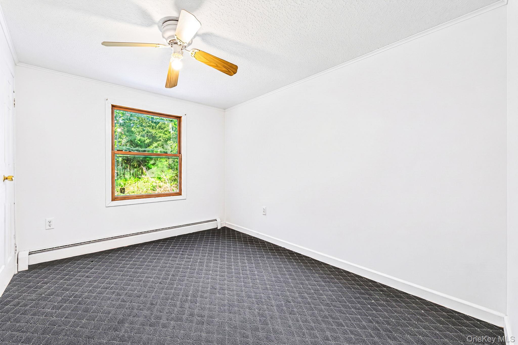 Single Family Walnut Avenue Suffolk County, NY 11779, MLS-1042345-10