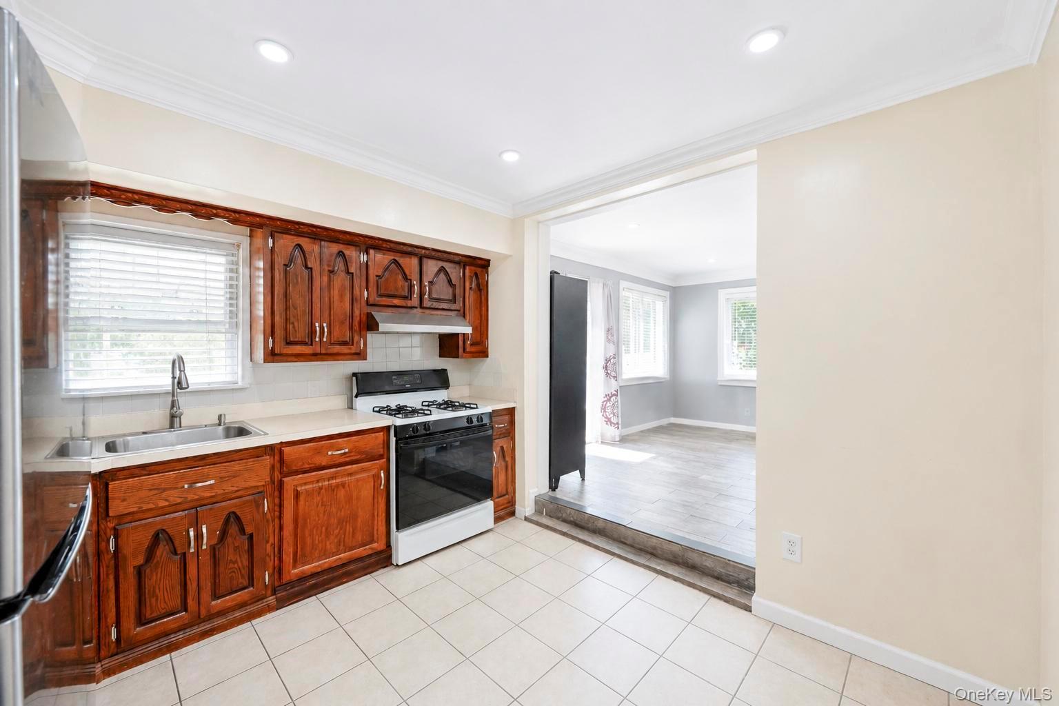 Single Family Goodrich Street Nassau County, NY 11553, MLS-1042356-12