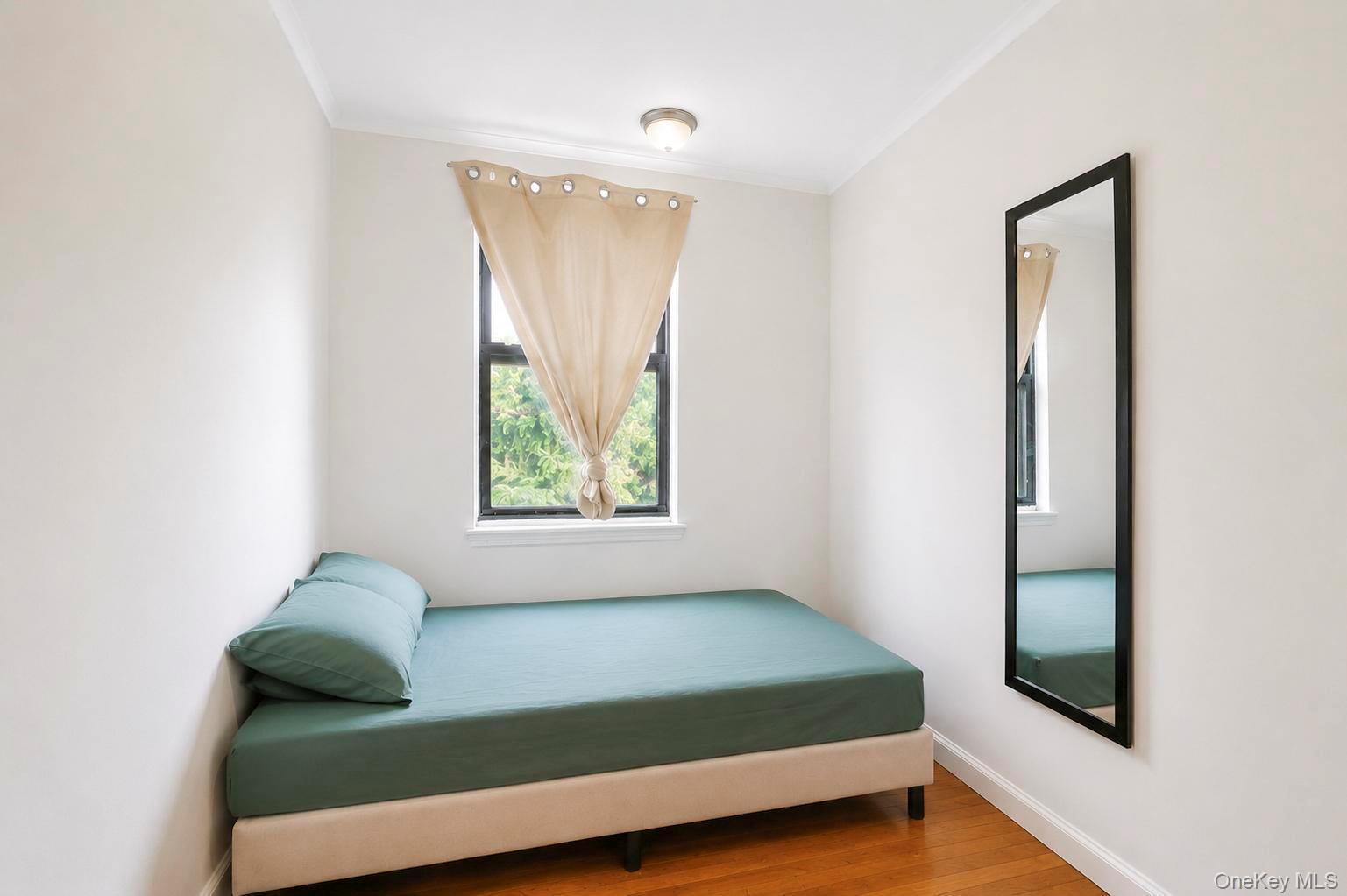 Single Family Barbey Street Brooklyn, NY 11207, MLS-1042375-31