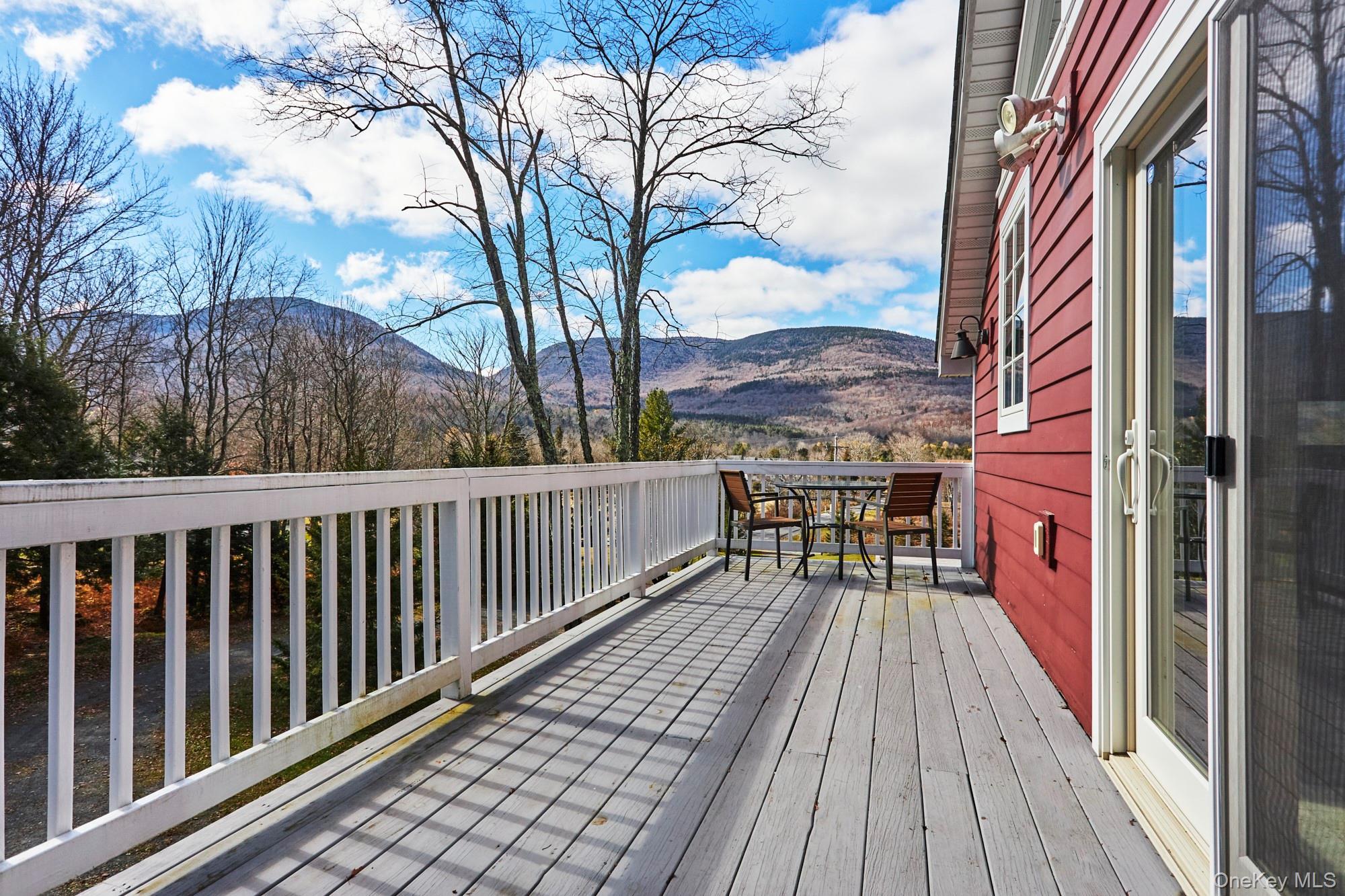 Single Family Platte Clove Road Greene County, NY 12442, MLS-1042419-4