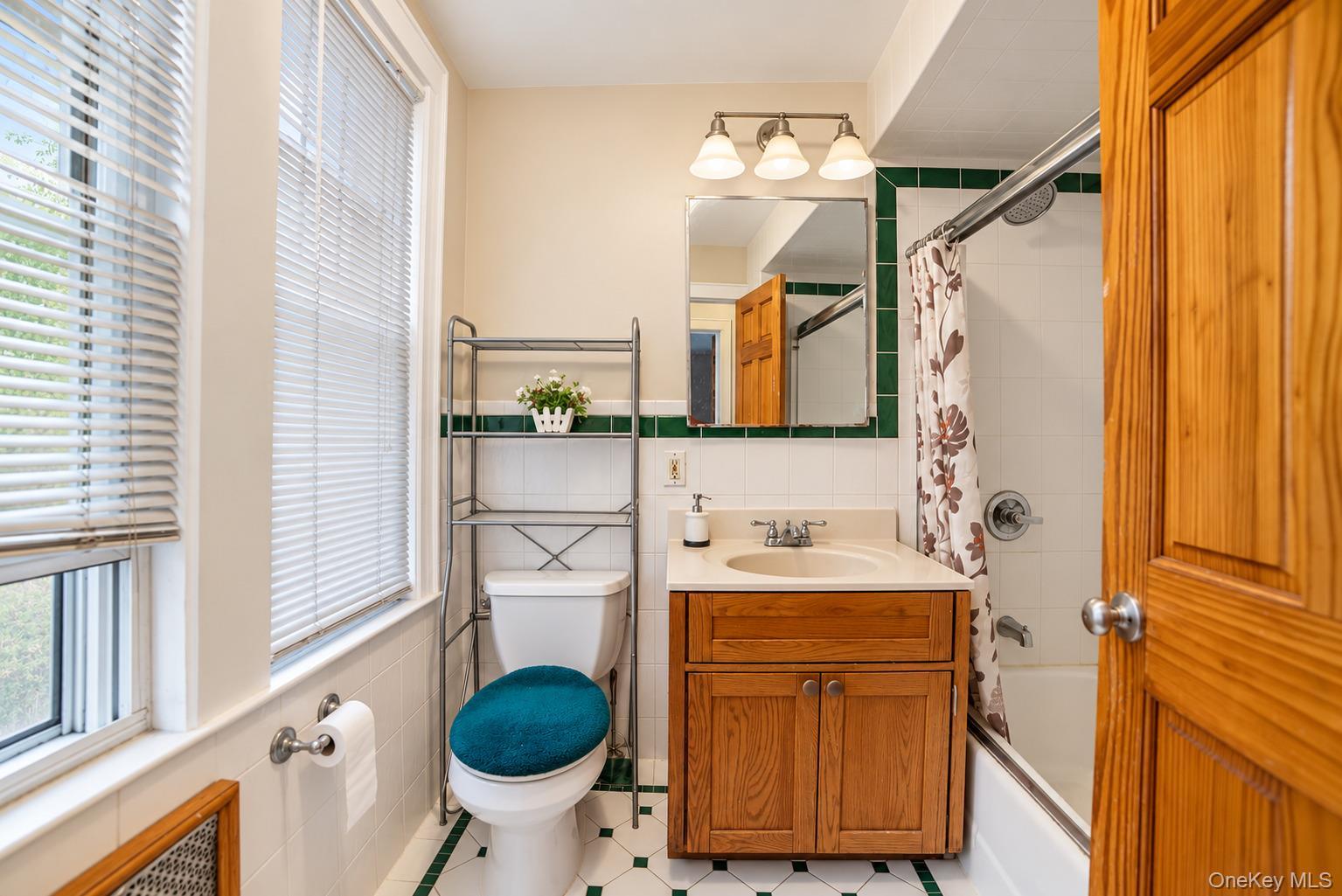 Single Family Moline Street Queens, NY 11428, MLS-1042461-9