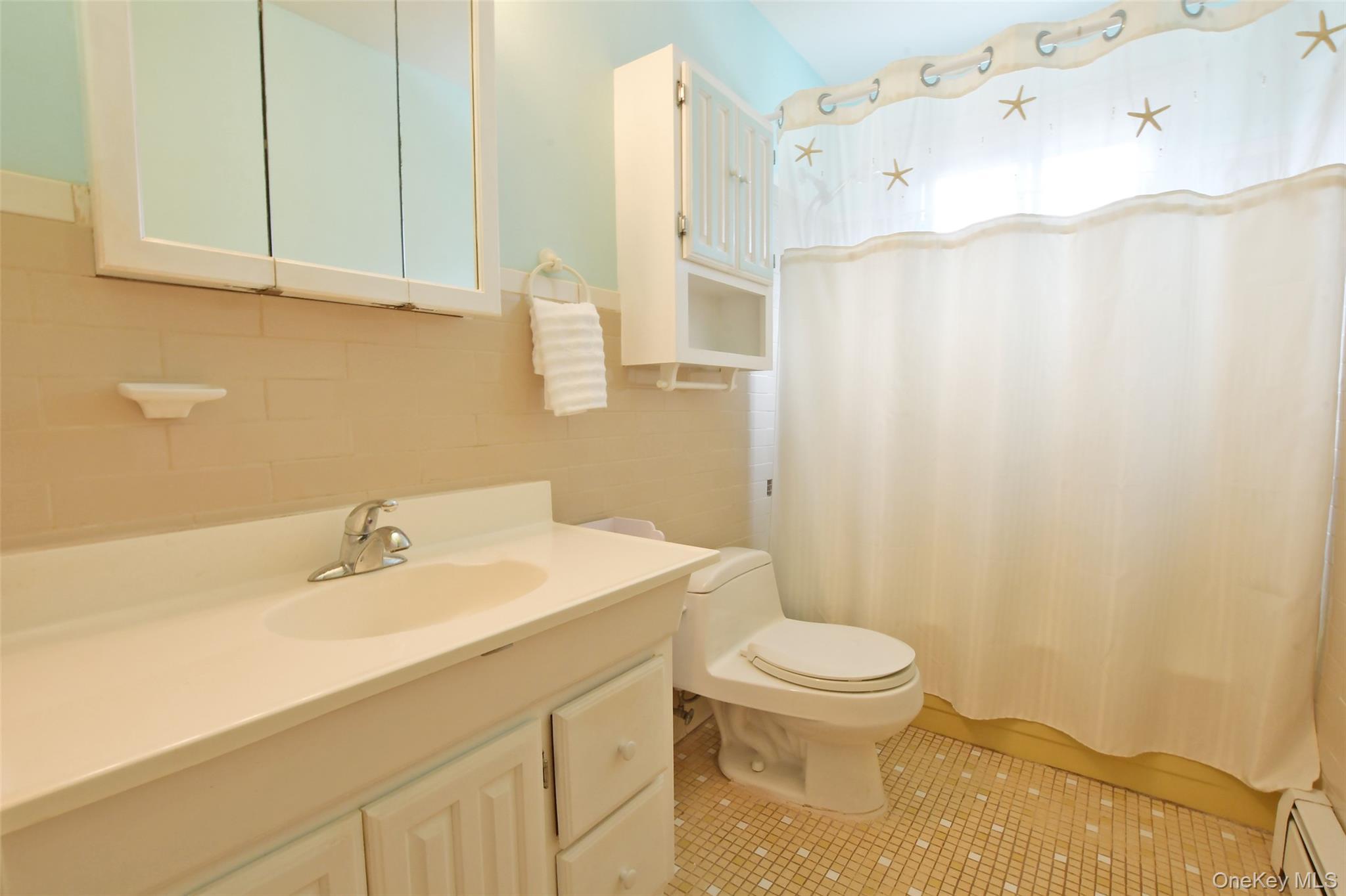 Single Family Huck Finn Lane Suffolk County, NY 11786, MLS-1042480-21