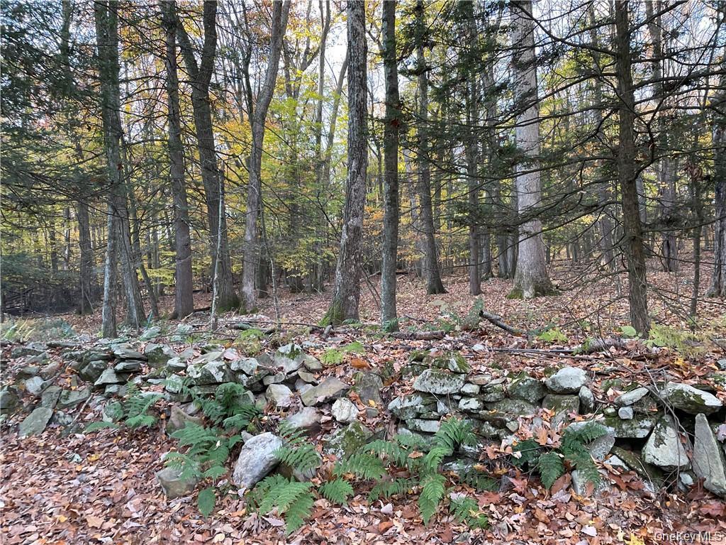 Single Family Birch Street  Orange County, NY 10940, MLS-1042491-9