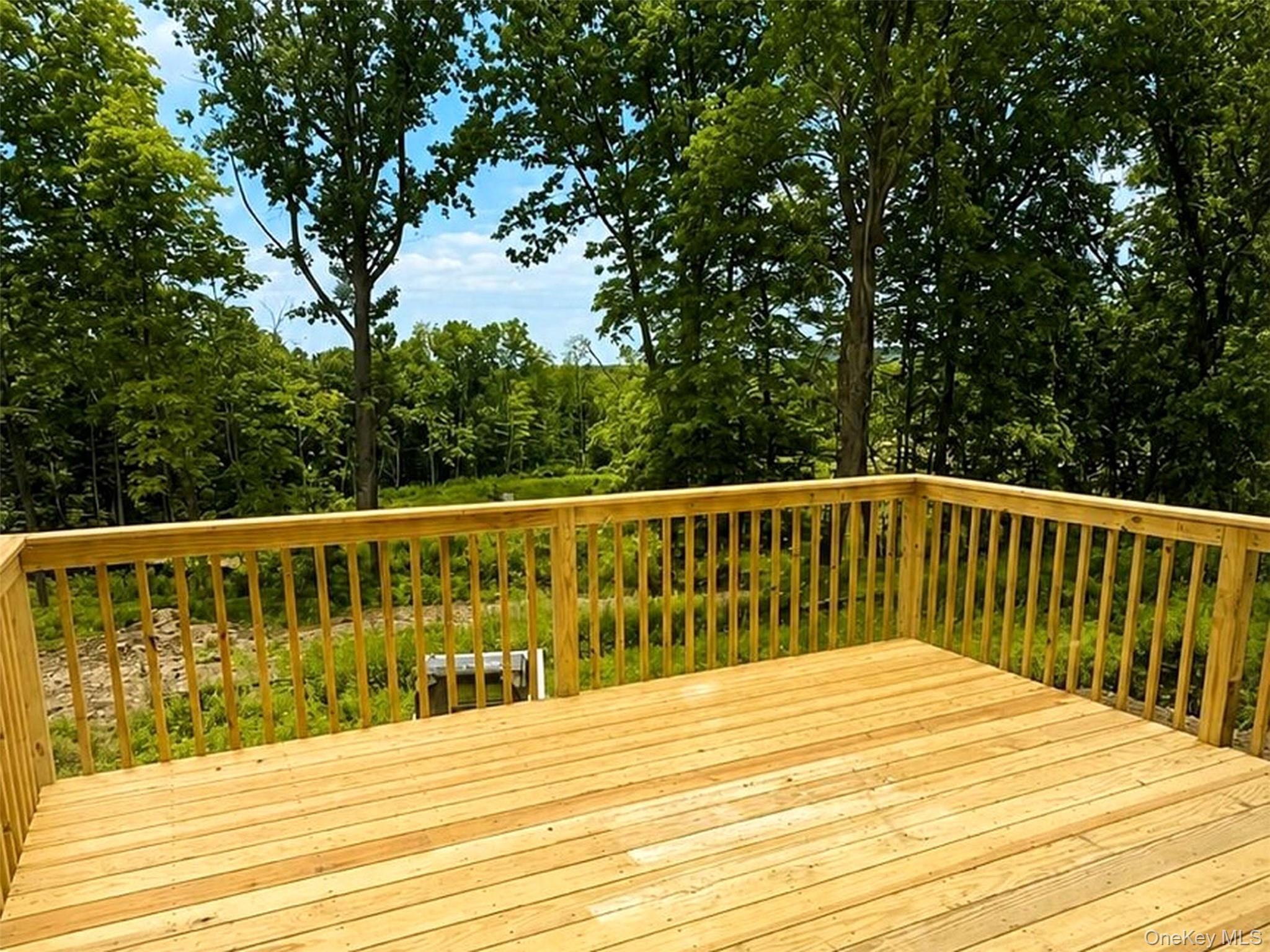 Single Family Lotus Drive Orange County, NY 10973, MLS-1042502-21