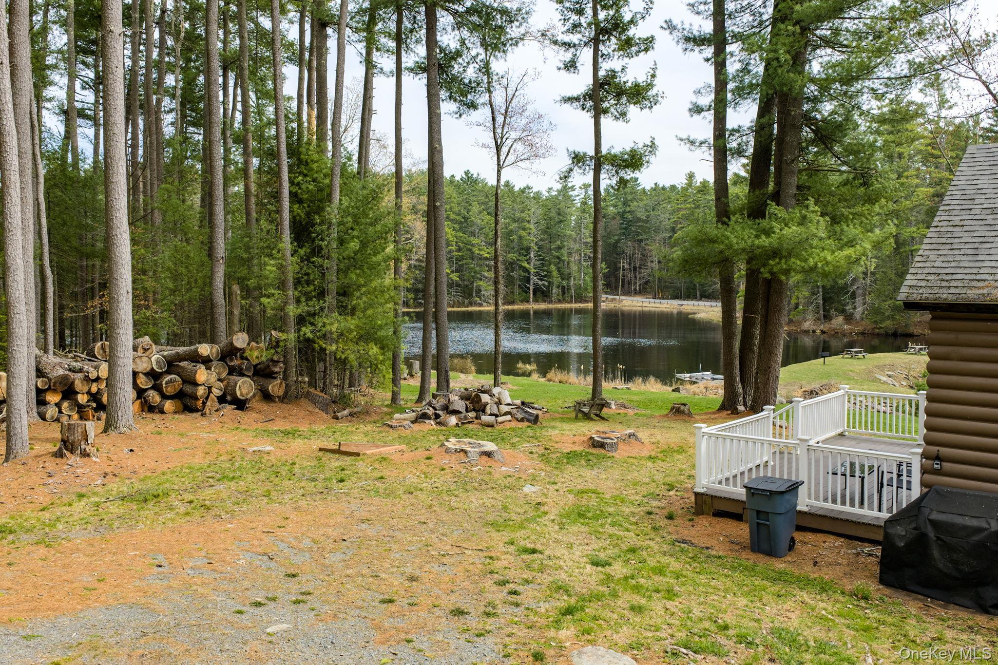 Single Family Stag Forest Road Sullivan County, NY 12777, MLS-1042532-26