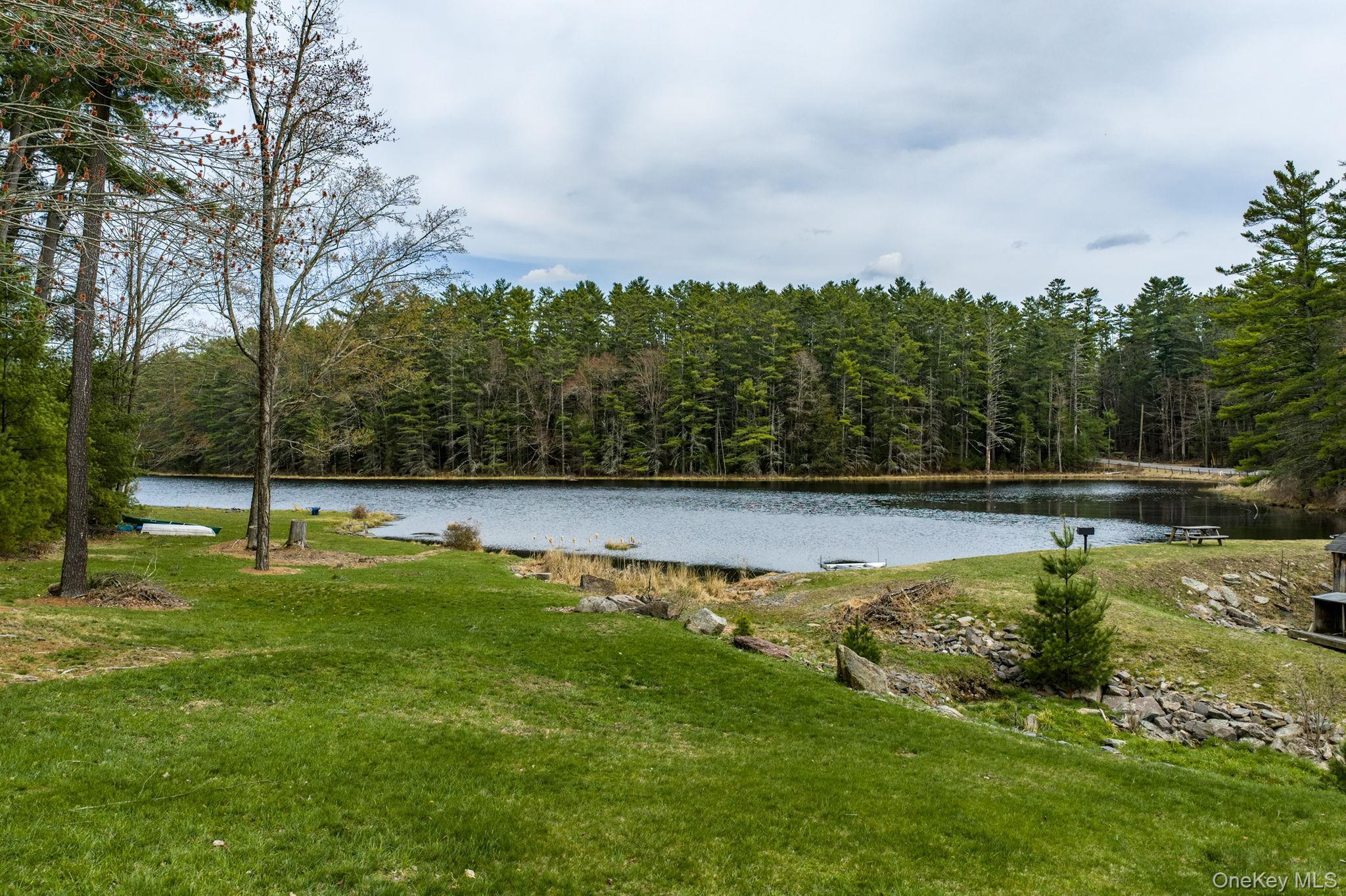 Single Family Stag Forest Road Sullivan County, NY 12777, MLS-1042532-28