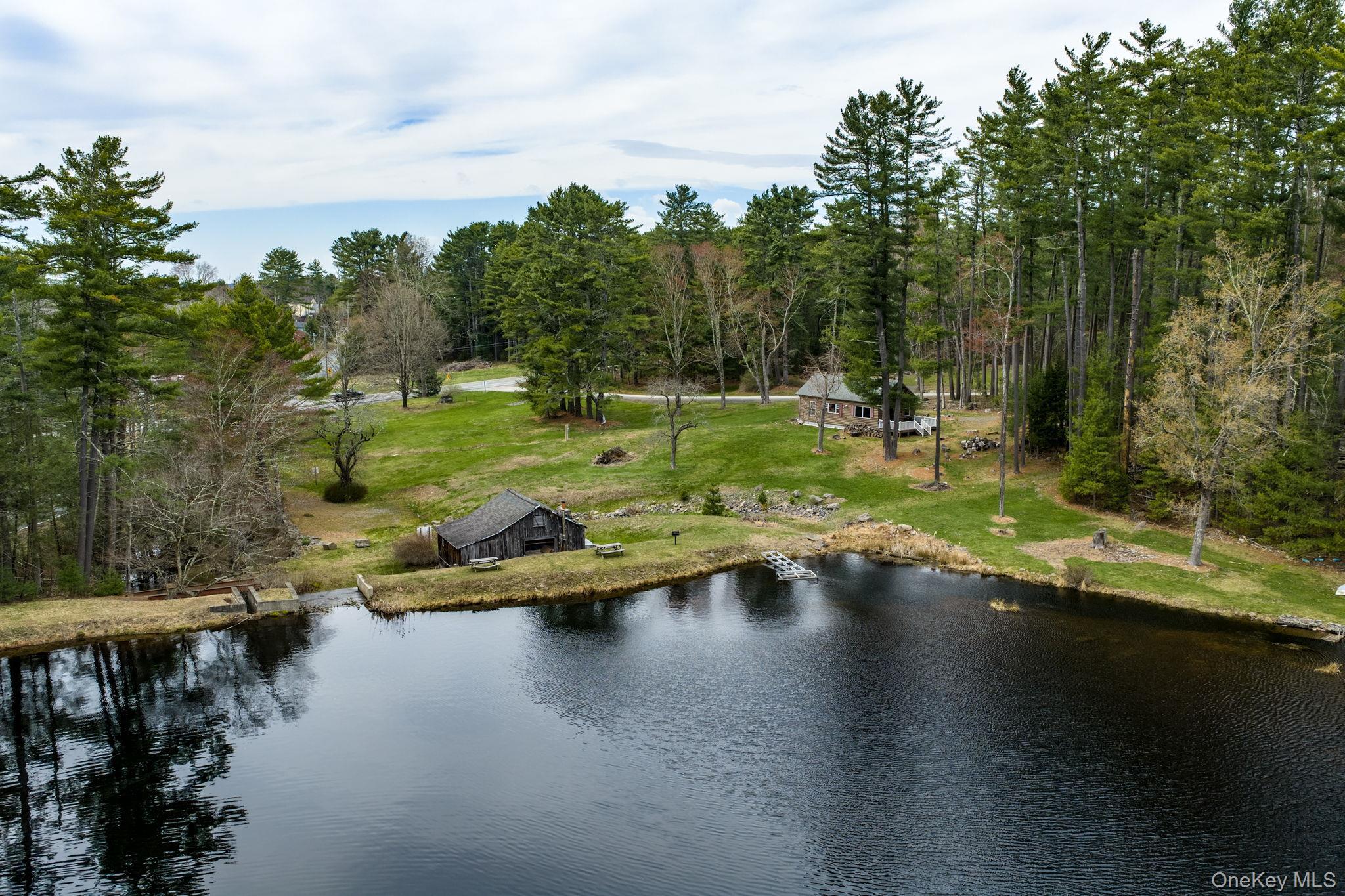 Single Family Stag Forest Road Sullivan County, NY 12777, MLS-1042532-30