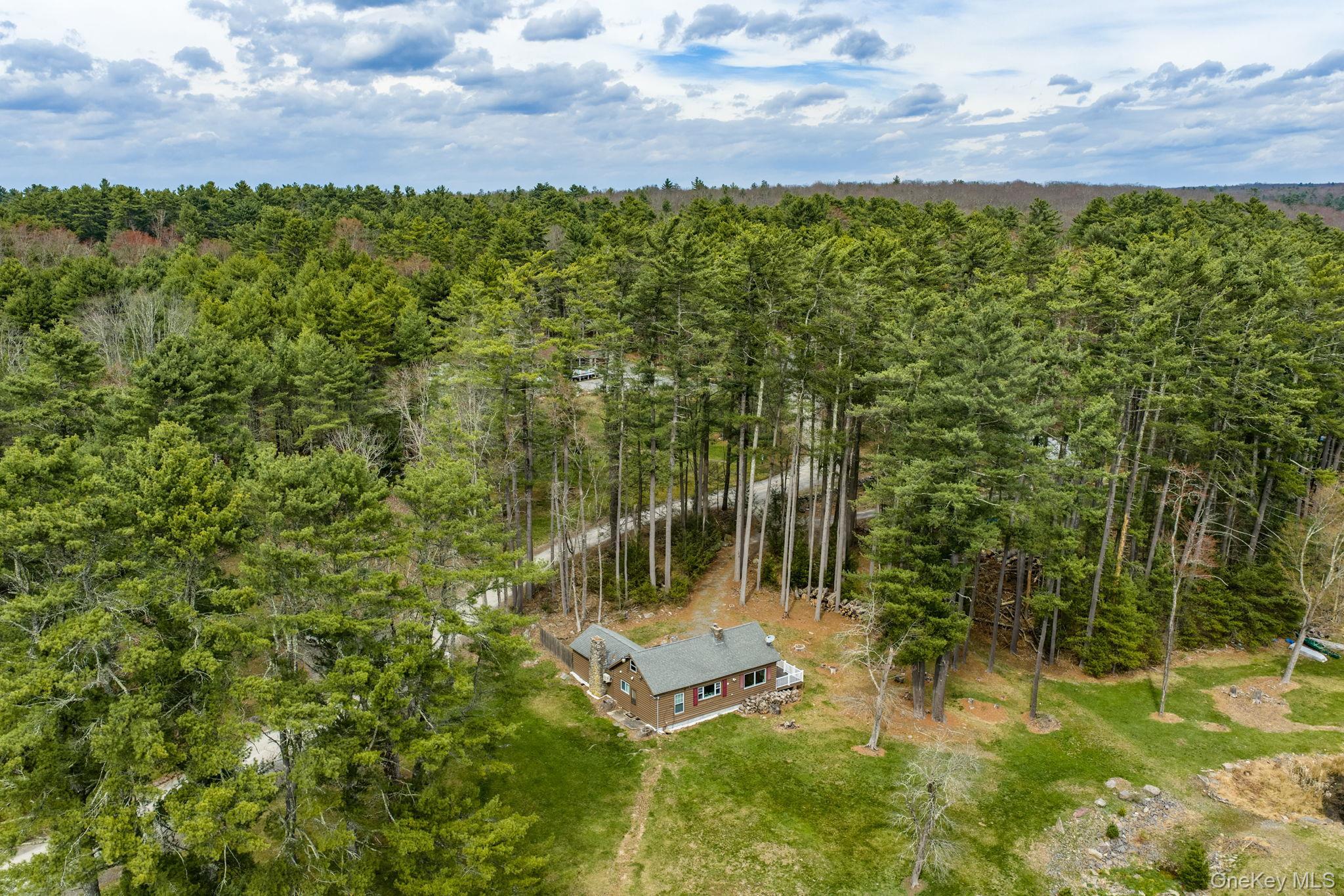 Single Family Stag Forest Road Sullivan County, NY 12777, MLS-1042532-6
