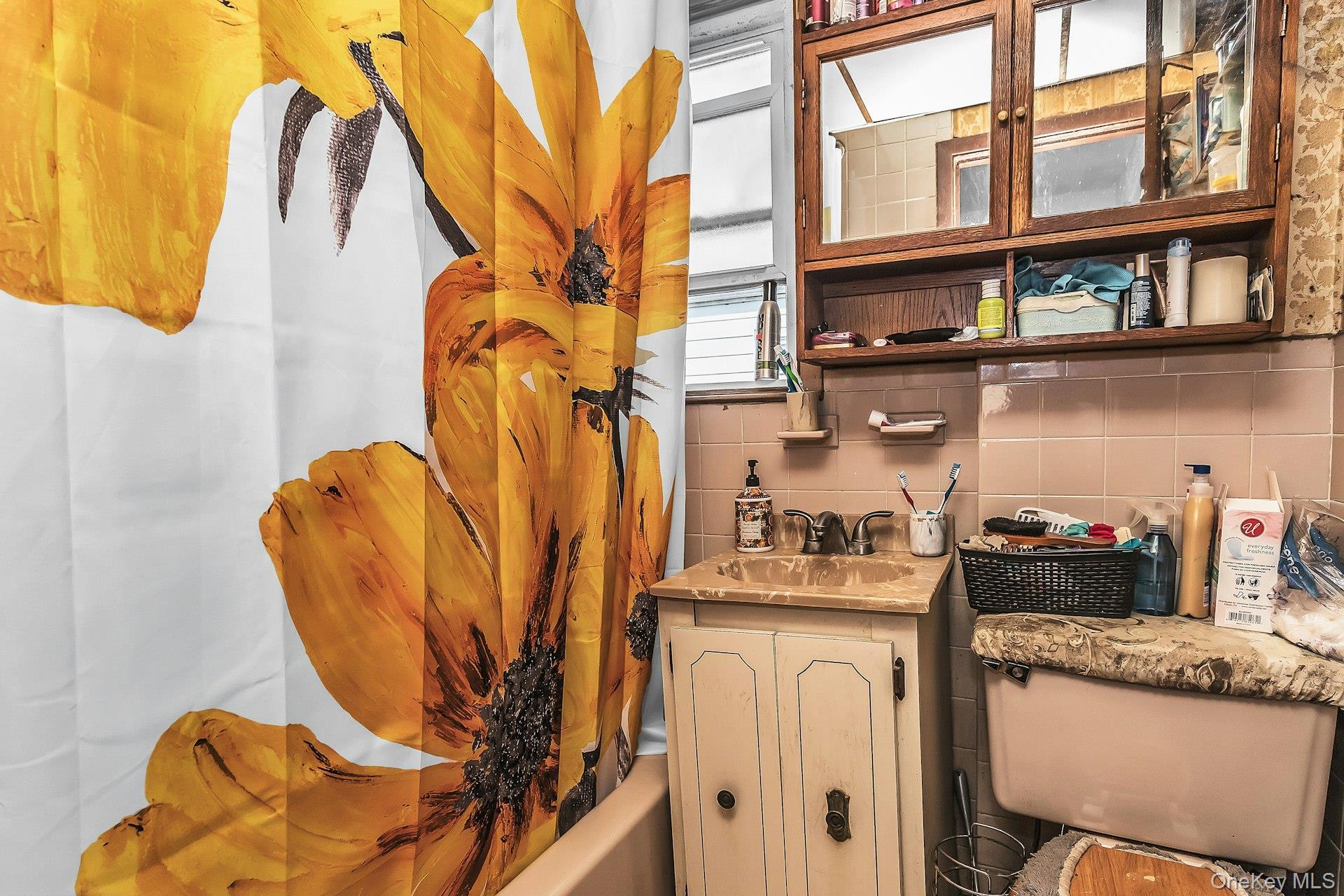 Single Family 120th Avenue Queens, NY 11412, MLS-1042535-10