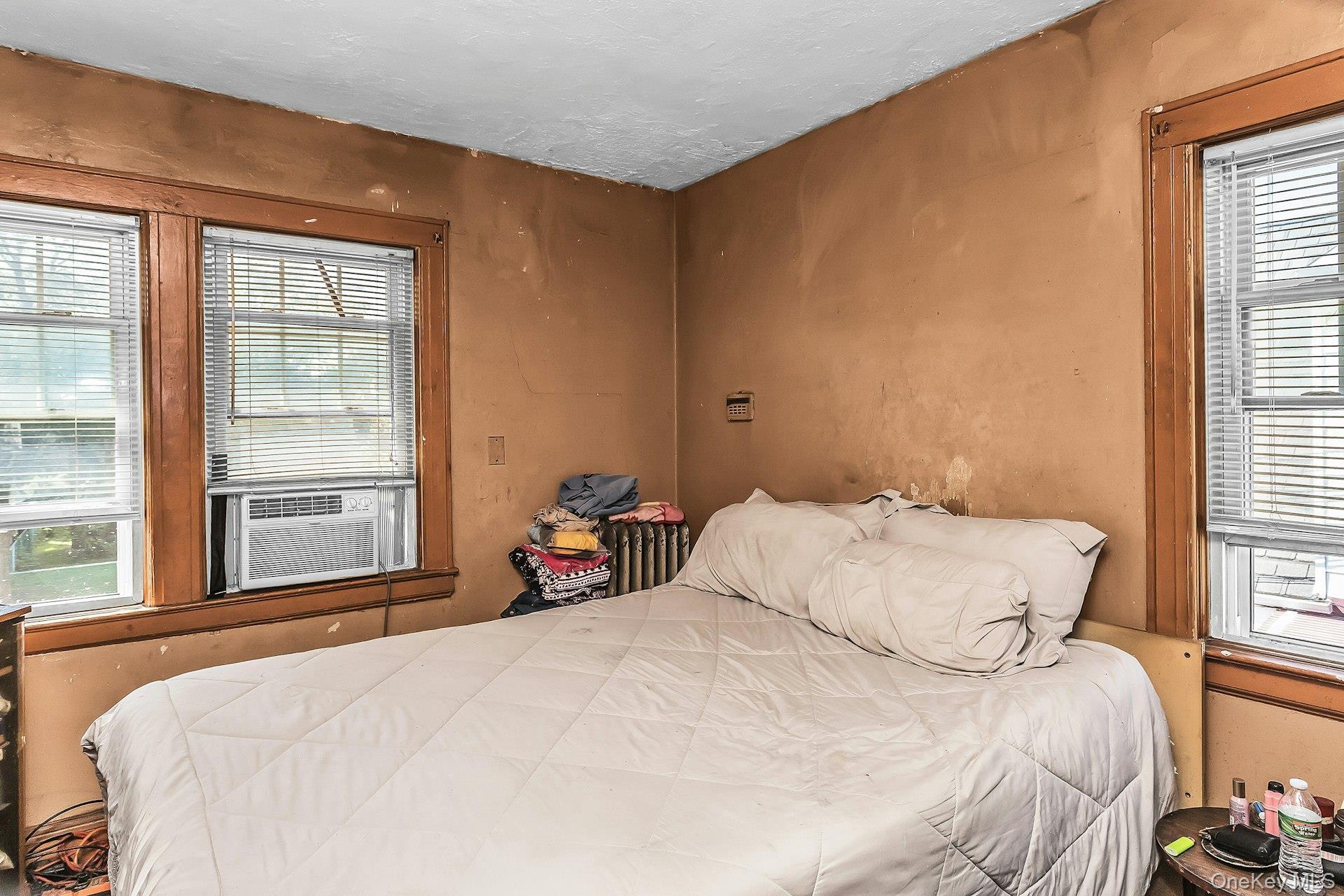 Single Family 120th Avenue Queens, NY 11412, MLS-1042535-9