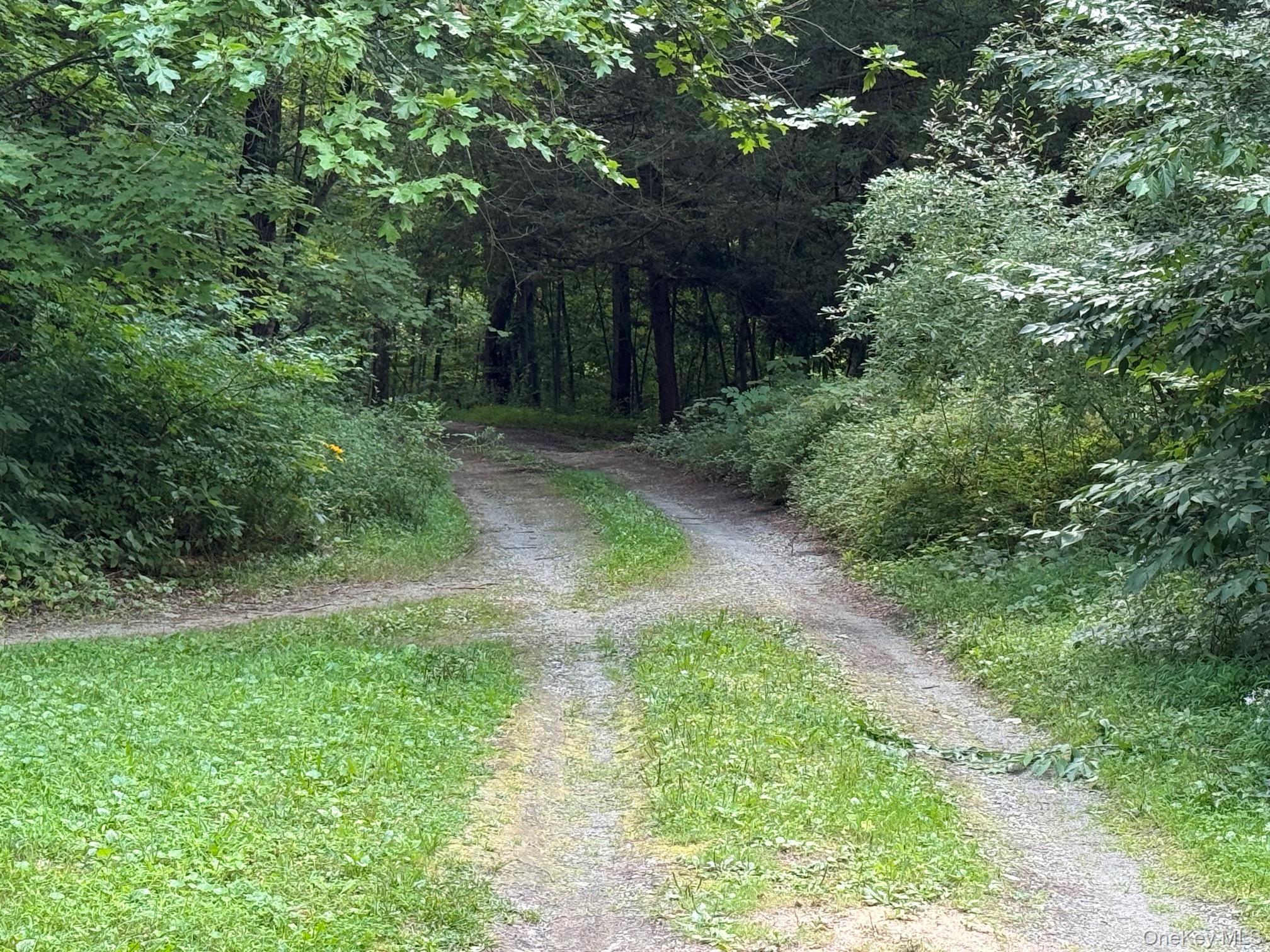 Single Family Bella Vista Road  Dutchess County, NY 12501, MLS-1042548-13