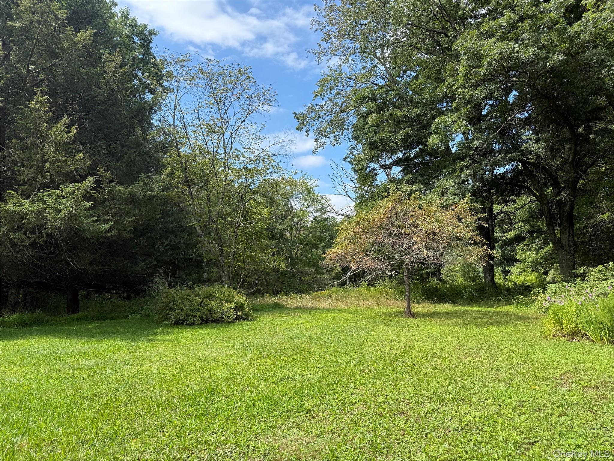 Single Family Bella Vista Road Dutchess County, NY 12501, MLS-1042548-4