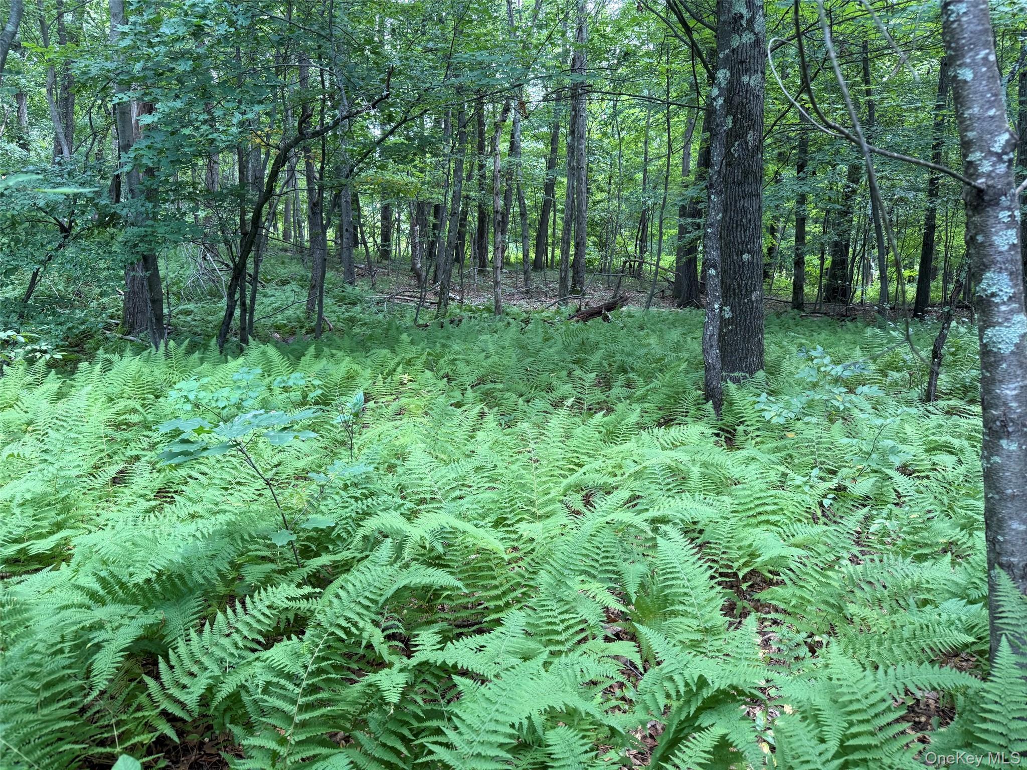 Single Family Bella Vista Road Dutchess County, NY 12501, MLS-1042548-9