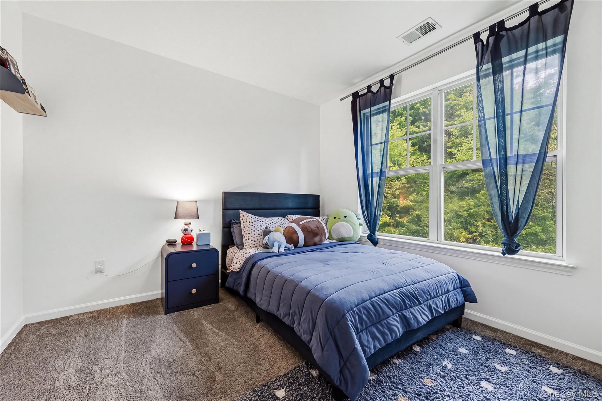 Single Family Hawthorn Way  Orange County, NY 12553, MLS-1042554-29