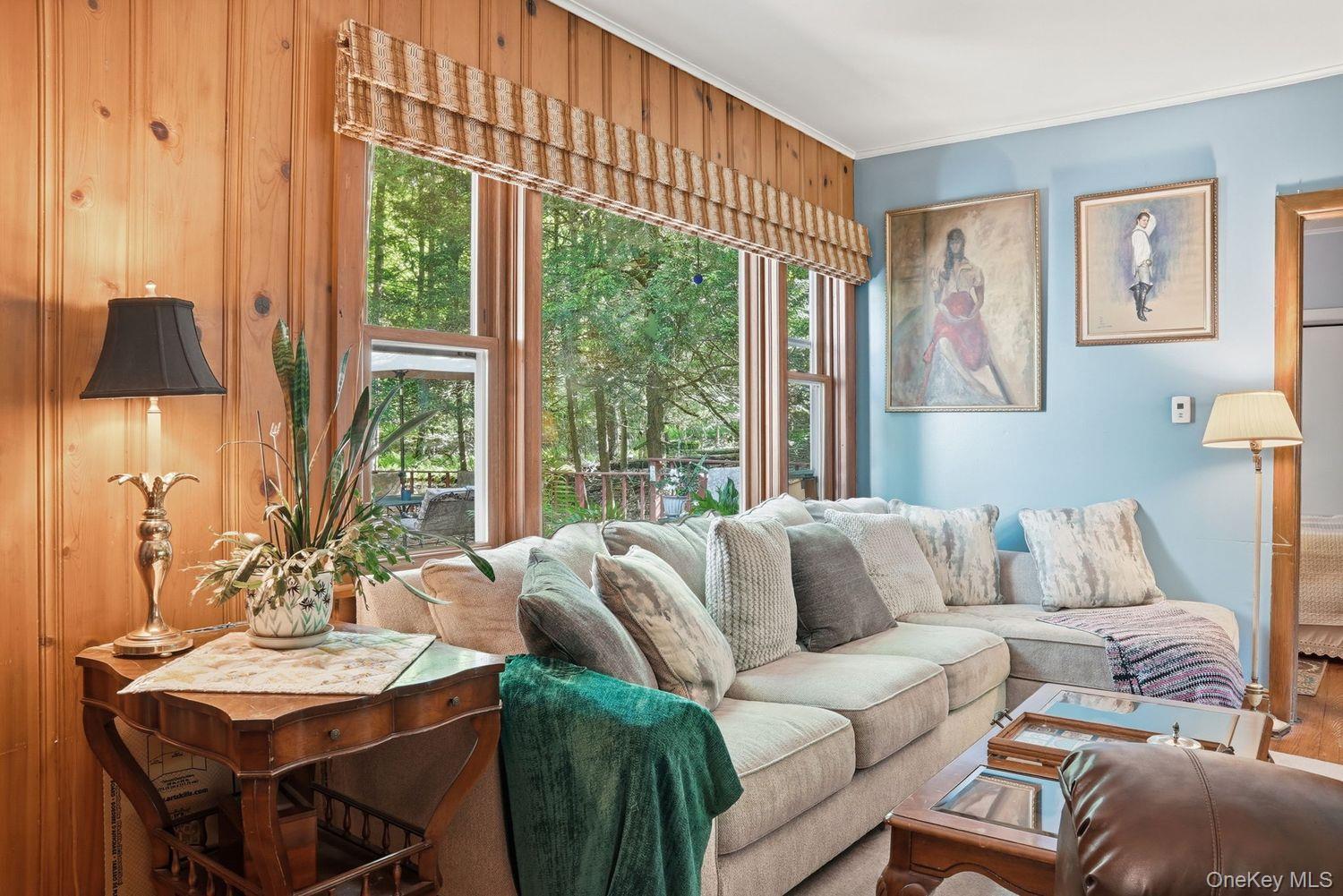 Single Family Starlight Road  Sullivan County, NY 12701, MLS-1042561-10