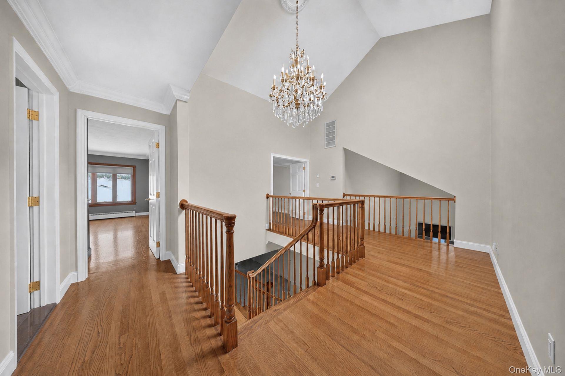 Single Family Bristol Drive  Nassau County, NY 11030, MLS-1042580-10