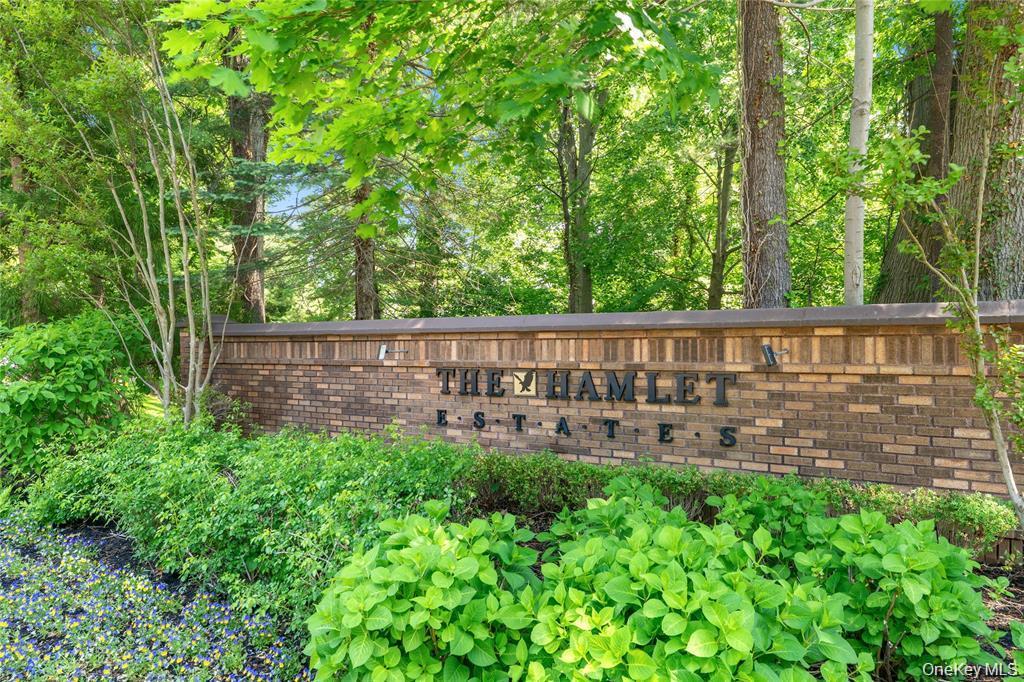 Single Family Bristol Drive  Nassau County, NY 11030, MLS-1042580-44