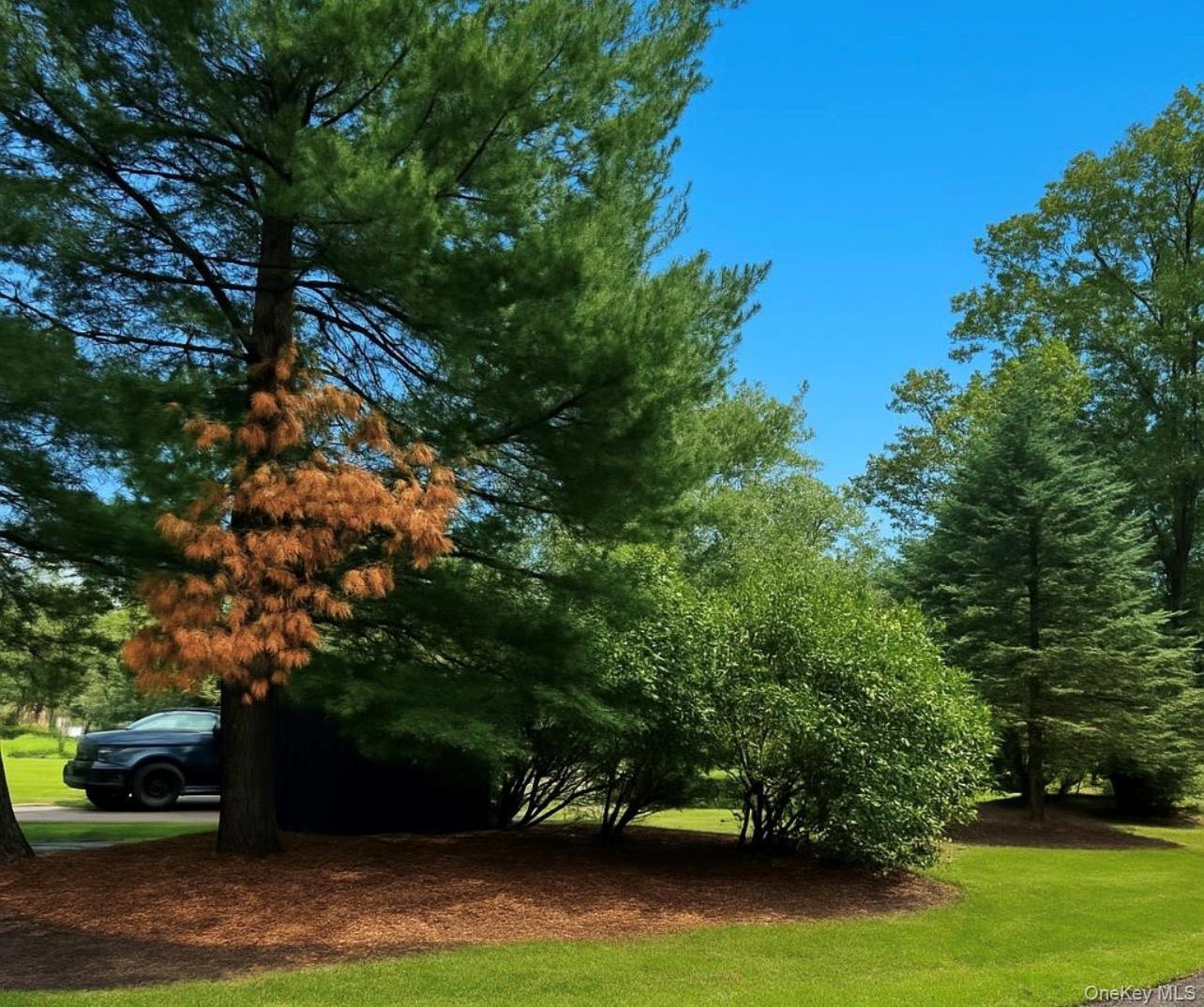 Single Family Marbeth Circle Suffolk County, NY 11764, MLS-1042603-33