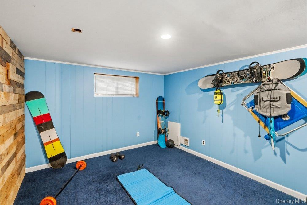 Single Family Delaware Avenue Nassau County, NY 11753, MLS-1042605-38