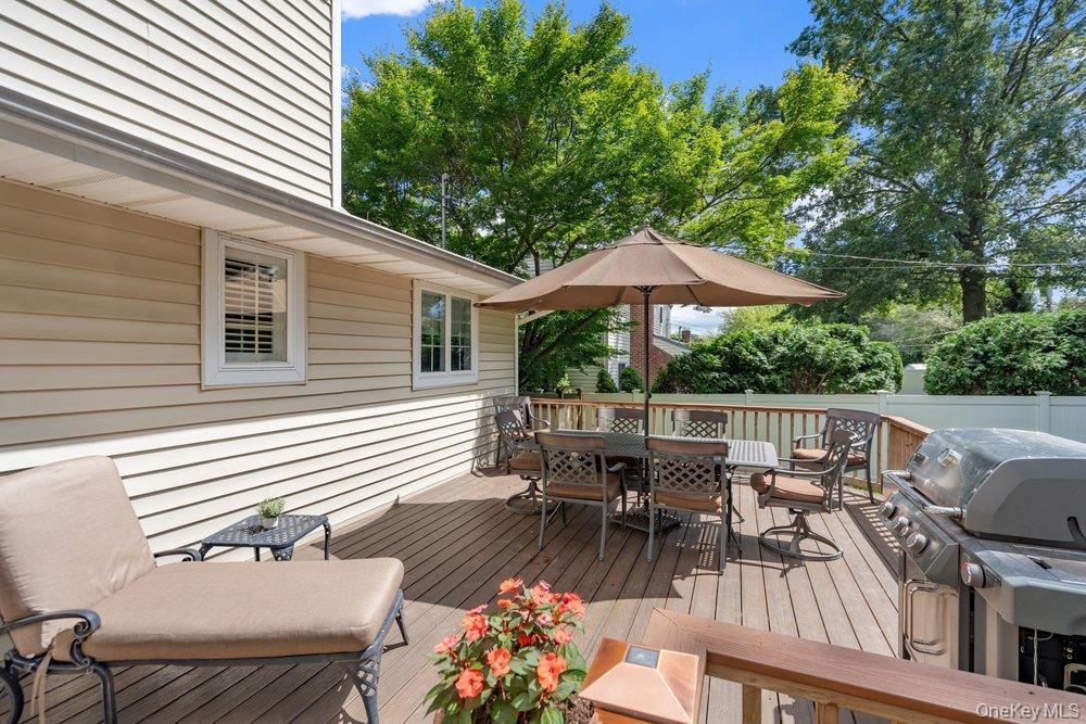 Single Family Delaware Avenue Nassau County, NY 11753, MLS-1042605-39