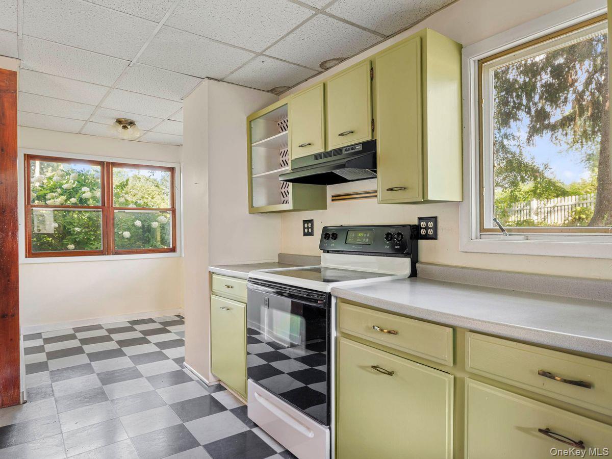 Single Family Jackman Street  Ulster County, NY 12528, MLS-1042618-4