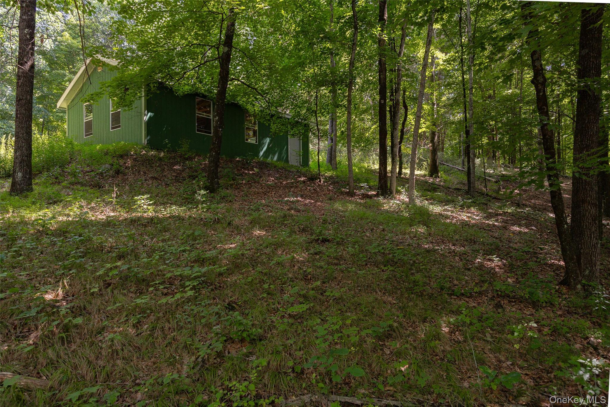 Single Family Pumpkin Lane Dutchess County, NY 12514, MLS-1042670-23