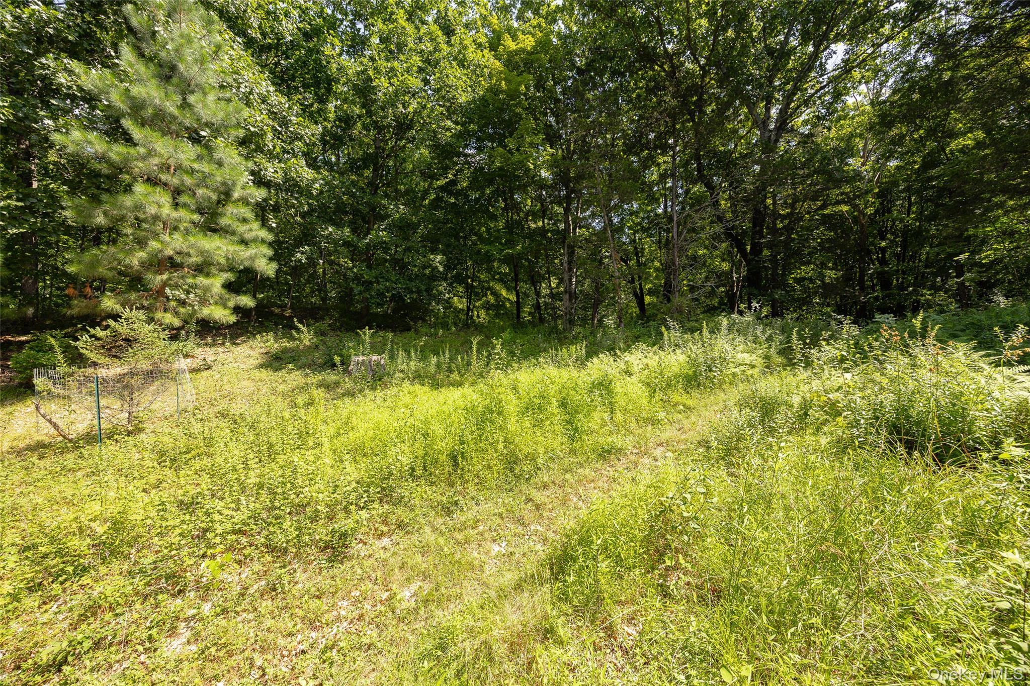 Single Family Pumpkin Lane Dutchess County, NY 12514, MLS-1042670-31