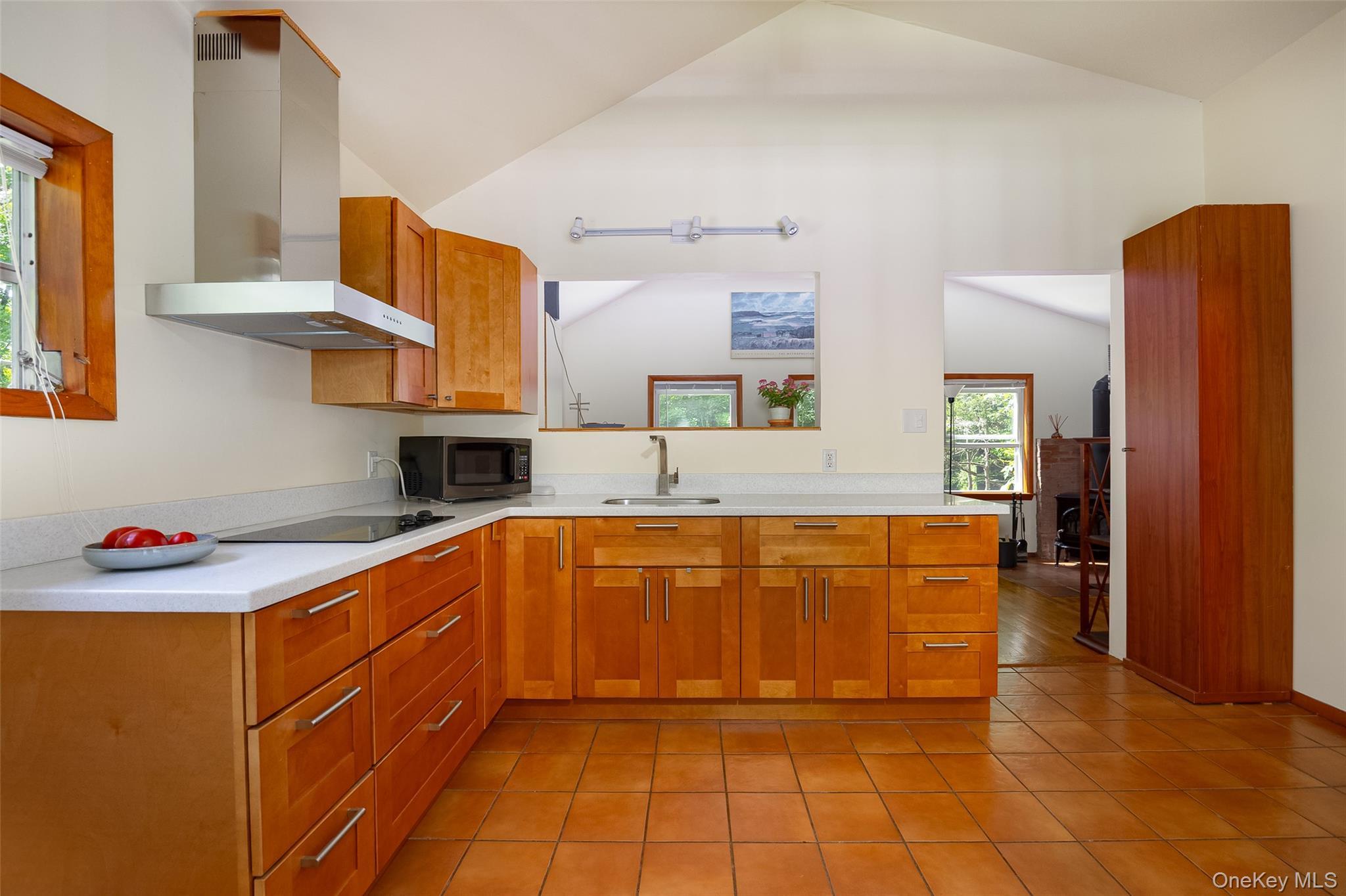 Single Family Pumpkin Lane Dutchess County, NY 12514, MLS-1042670-5