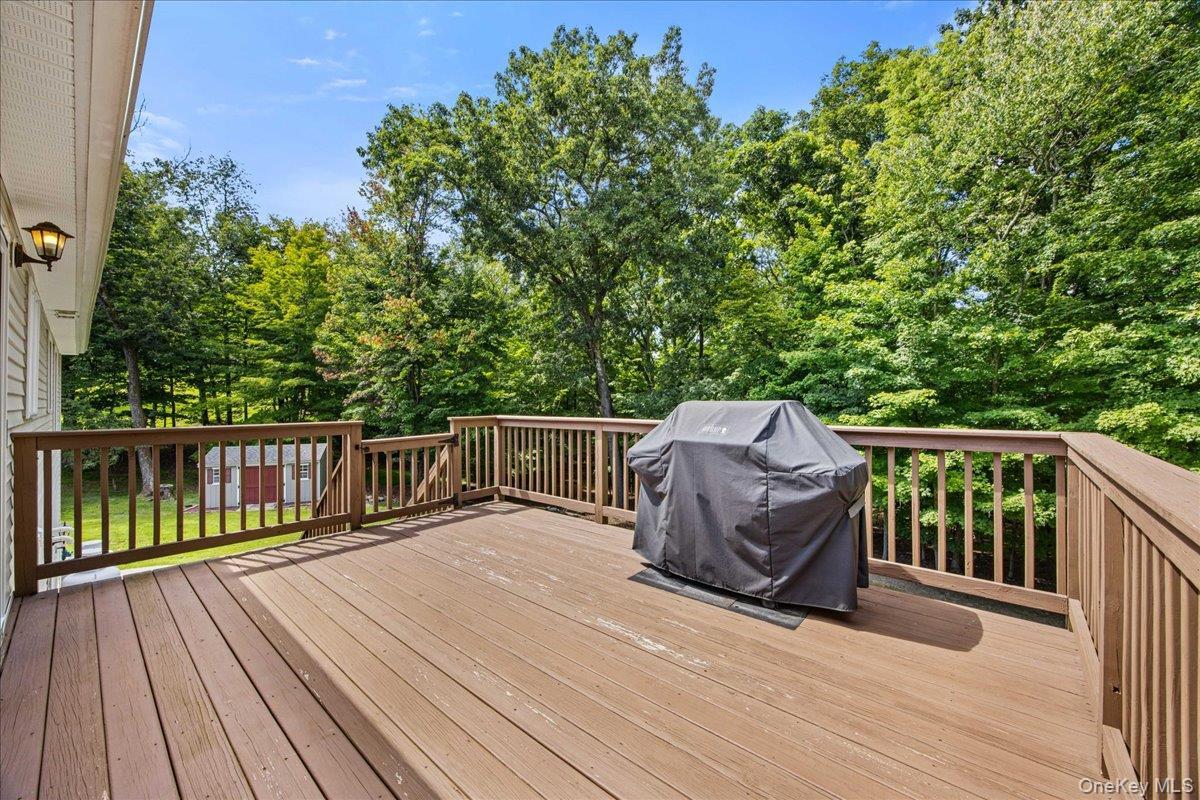 Single Family Whitford Road Orange County, NY 10998, MLS-1042677-29