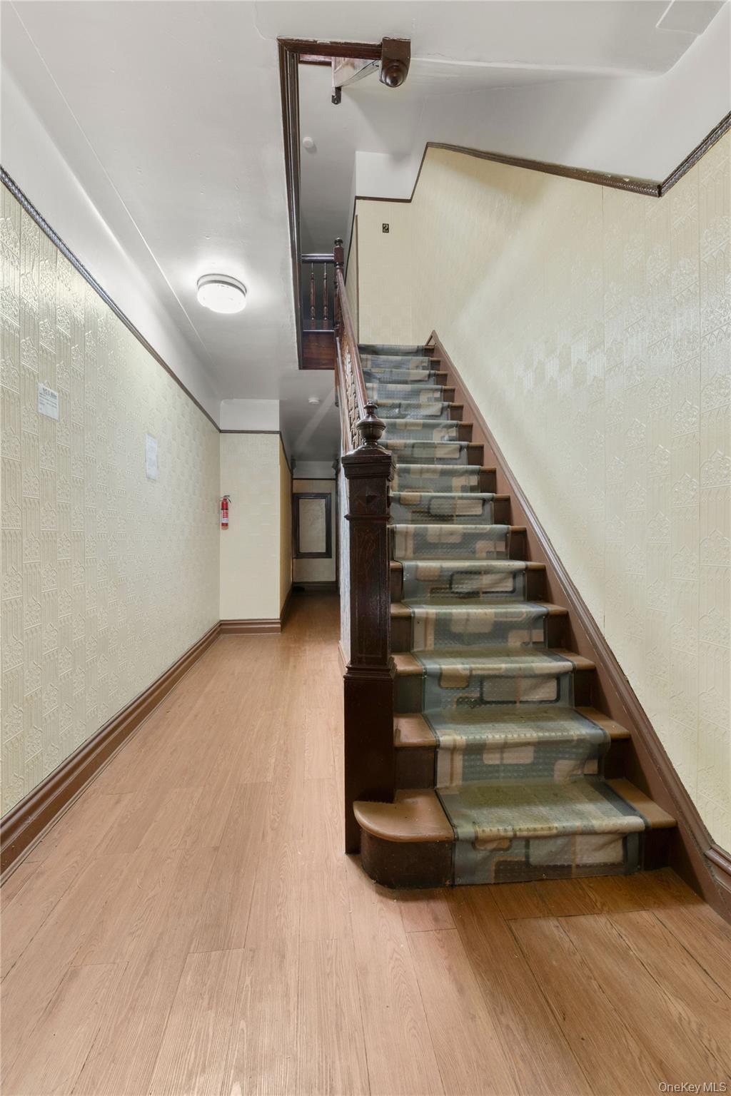 Single Family Putnam Avenue Queens, NY 11385, MLS-1042679-2
