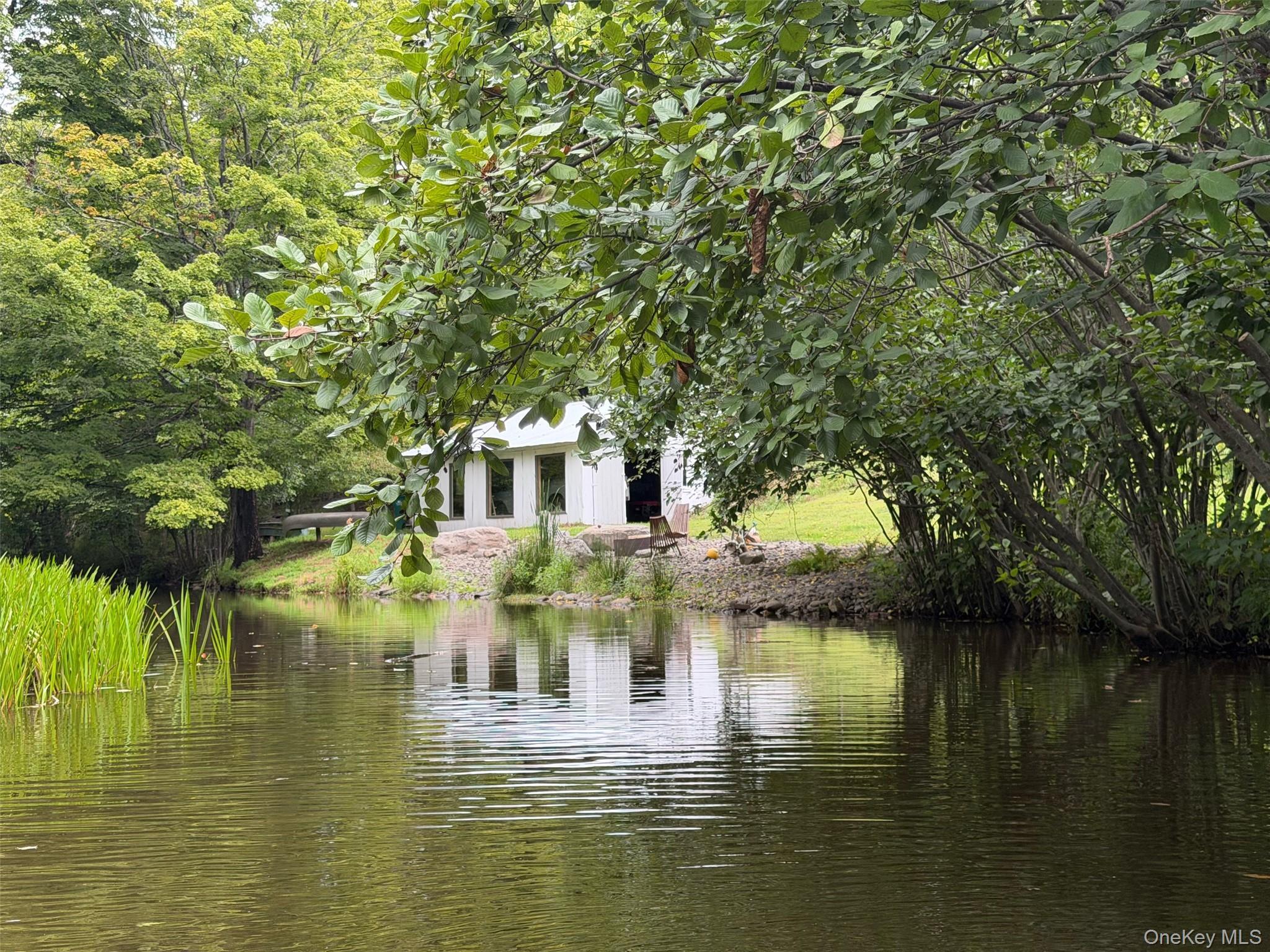 Single Family Cottage Lane Ulster County, NY 12404, MLS-1042683-37