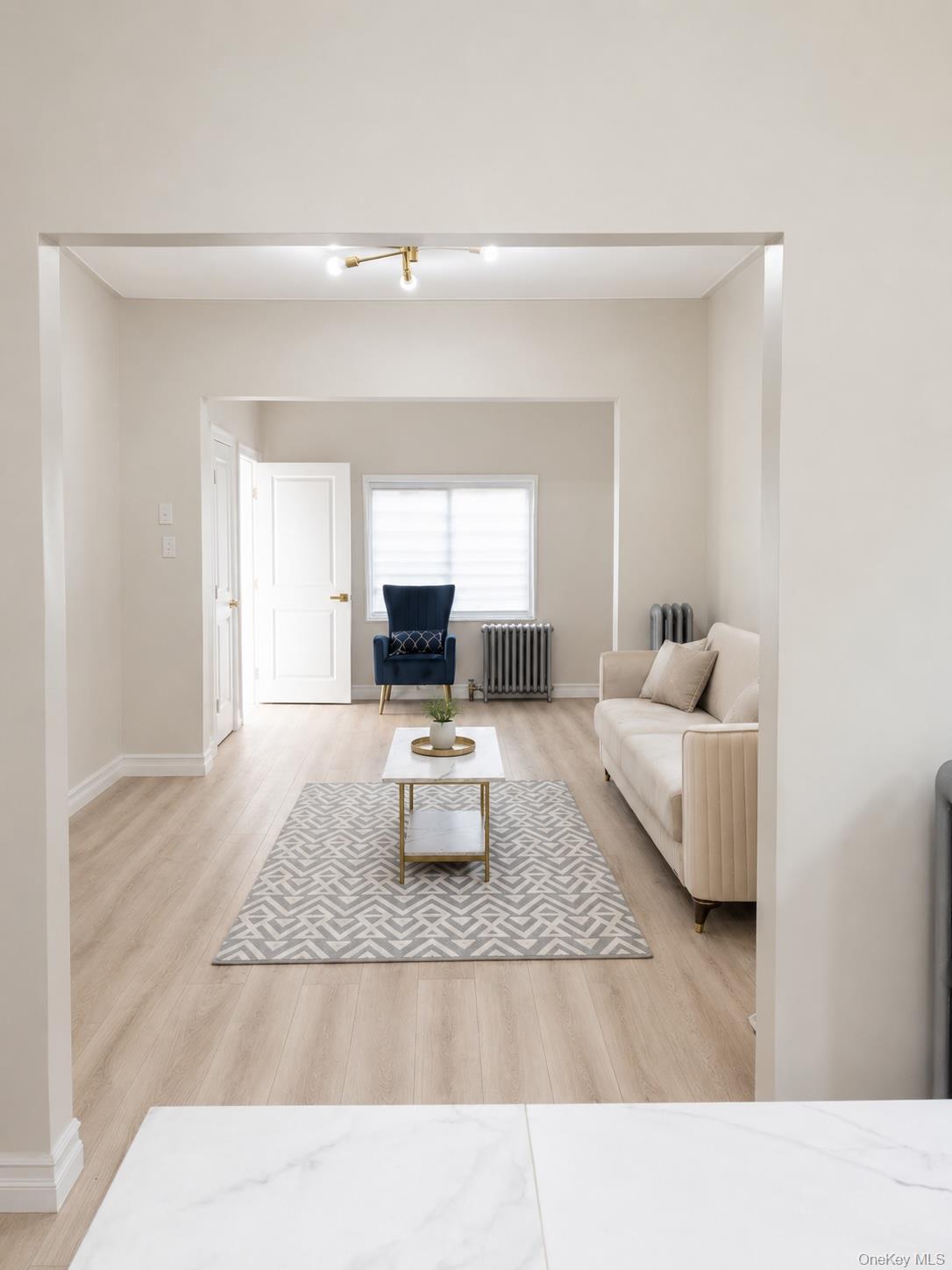 Single Family E 39th Street Brooklyn, NY 11203, MLS-1042706-3