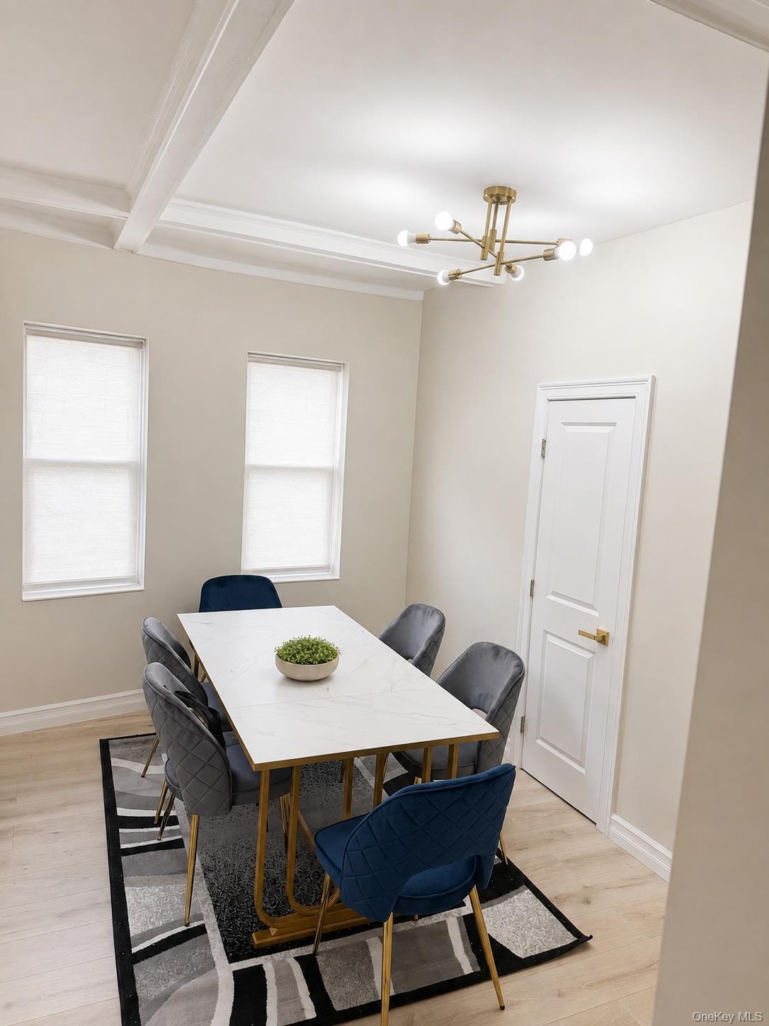Single Family E 39th Street Brooklyn, NY 11203, MLS-1042706-4