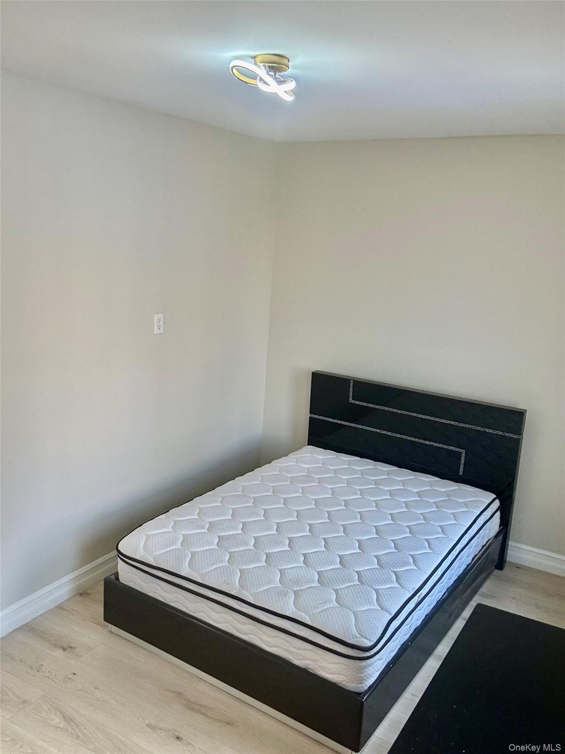 Single Family E 39th Street Brooklyn, NY 11203, MLS-1042706-9