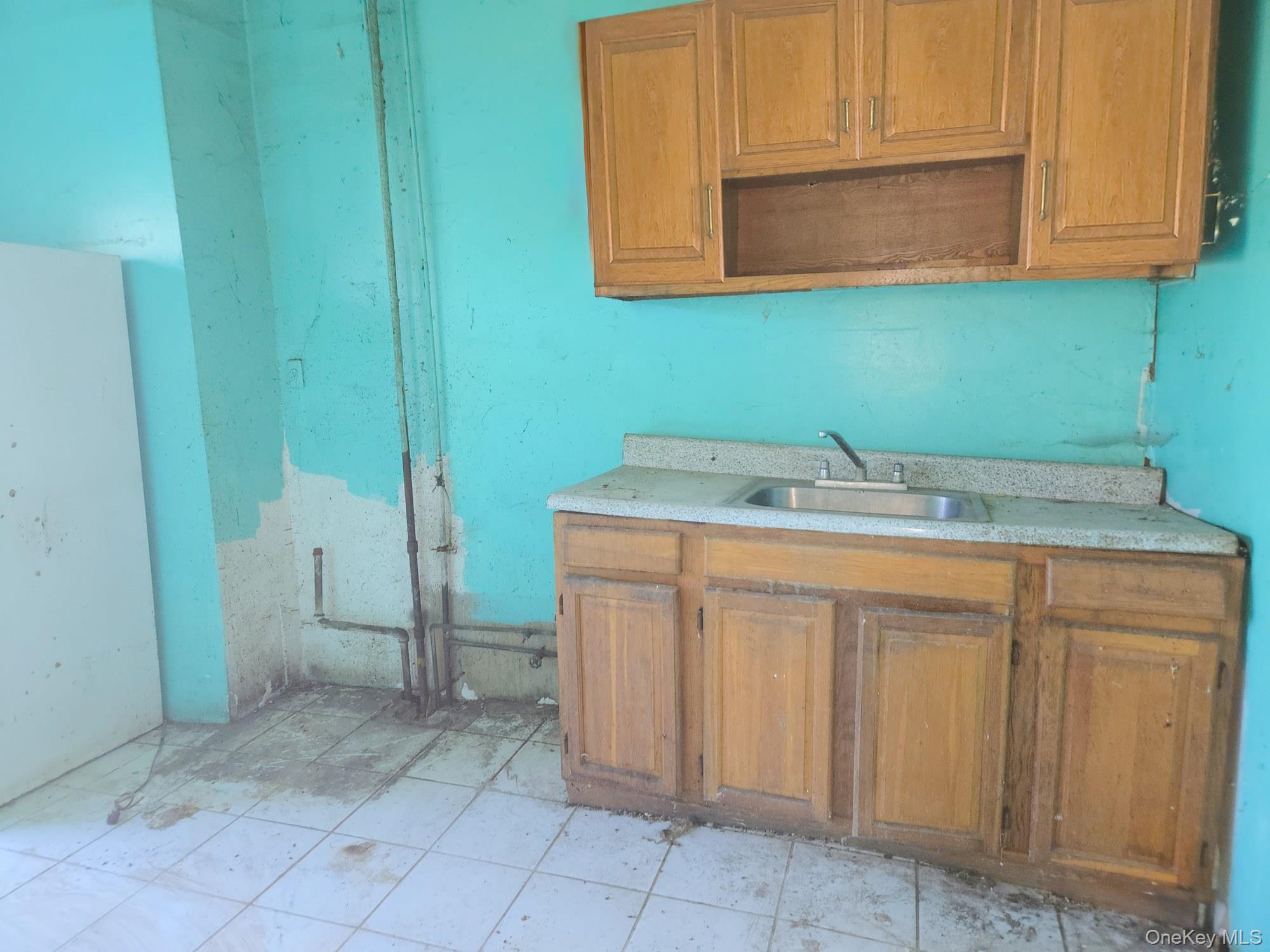 Single Family Baker Avenue  Bronx, NY 10460, MLS-1042716-17