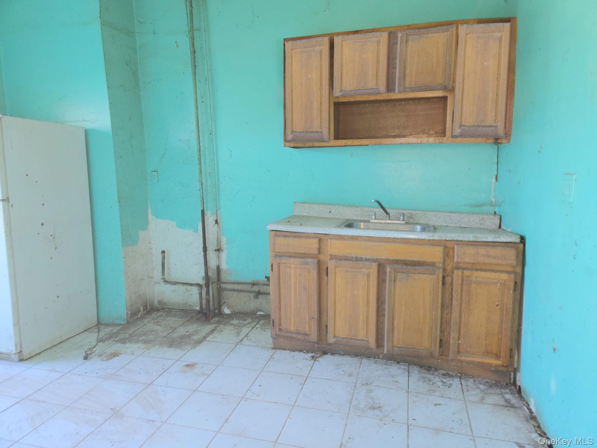 Single Family Baker Avenue  Bronx, NY 10460, MLS-1042716-18