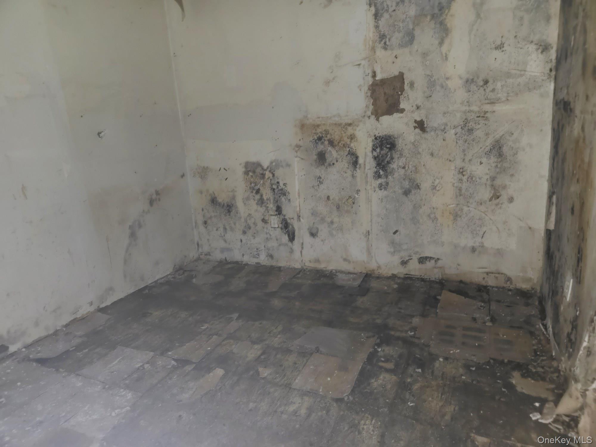 Single Family Baker Avenue  Bronx, NY 10460, MLS-1042716-4