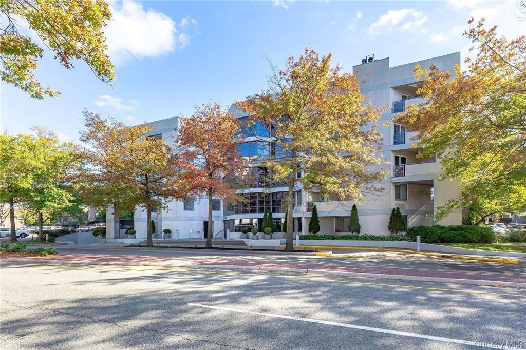 Condo in North Hempstead - Great Neck Road Nassau County, NY 11021