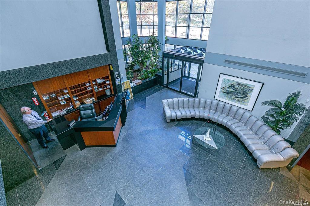 Condo Great Neck Road Nassau County, NY 11021, MLS-1042722-17
