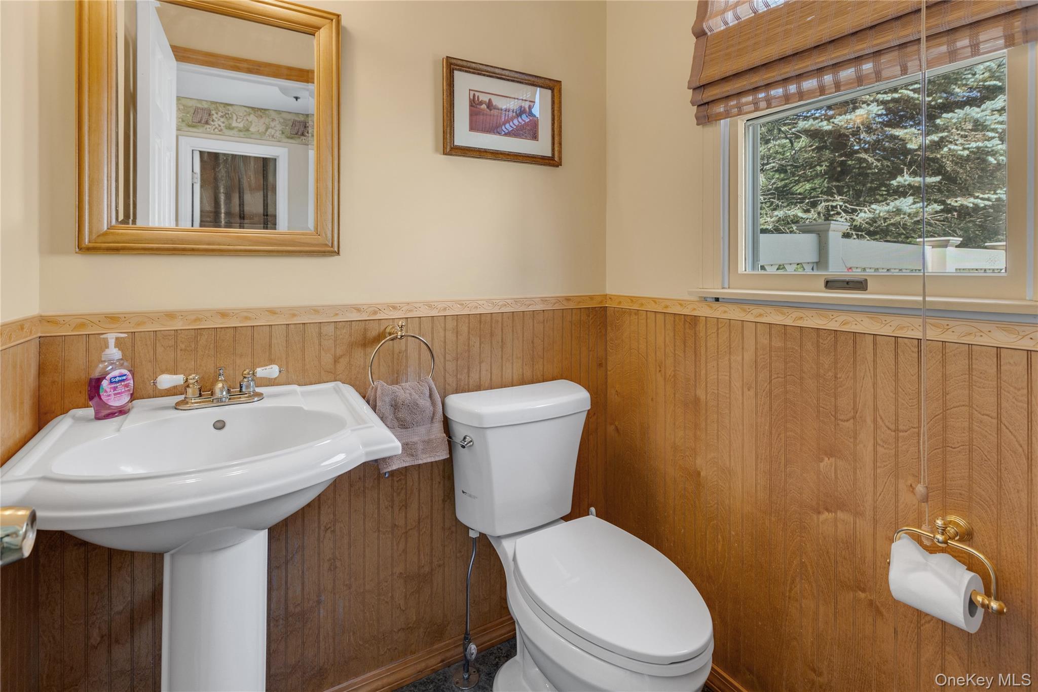 Single Family Dale Lane Suffolk County, NY 11787, MLS-1042725-14