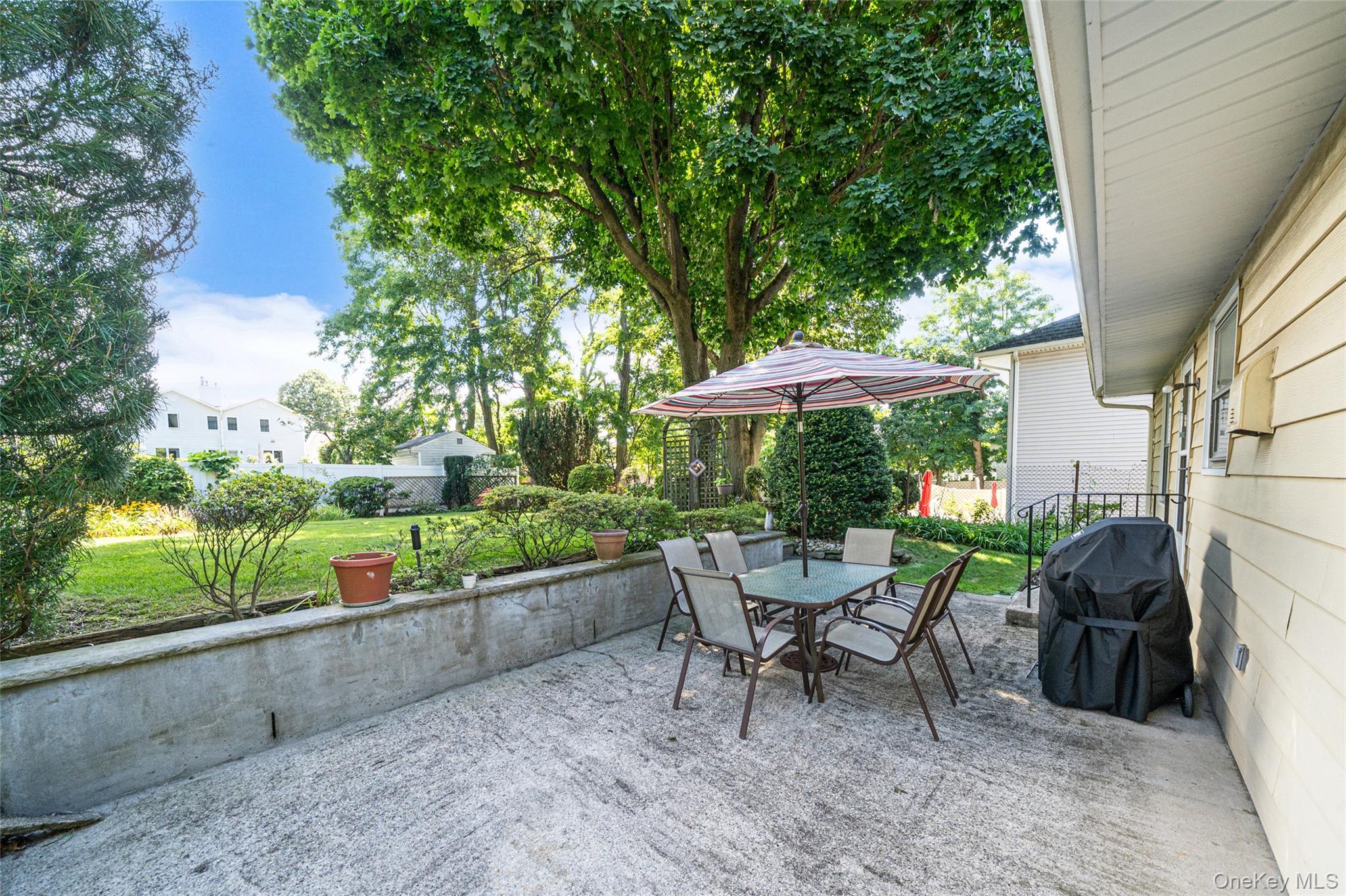 Single Family Avenue C  Nassau County, NY 11050, MLS-1042743-10