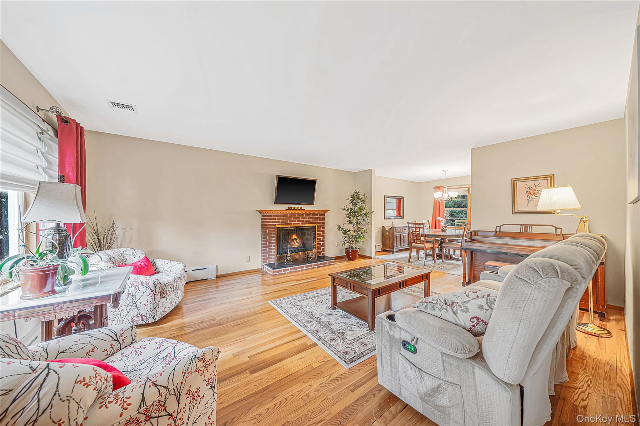 Single Family Avenue C  Nassau County, NY 11050, MLS-1042743-16