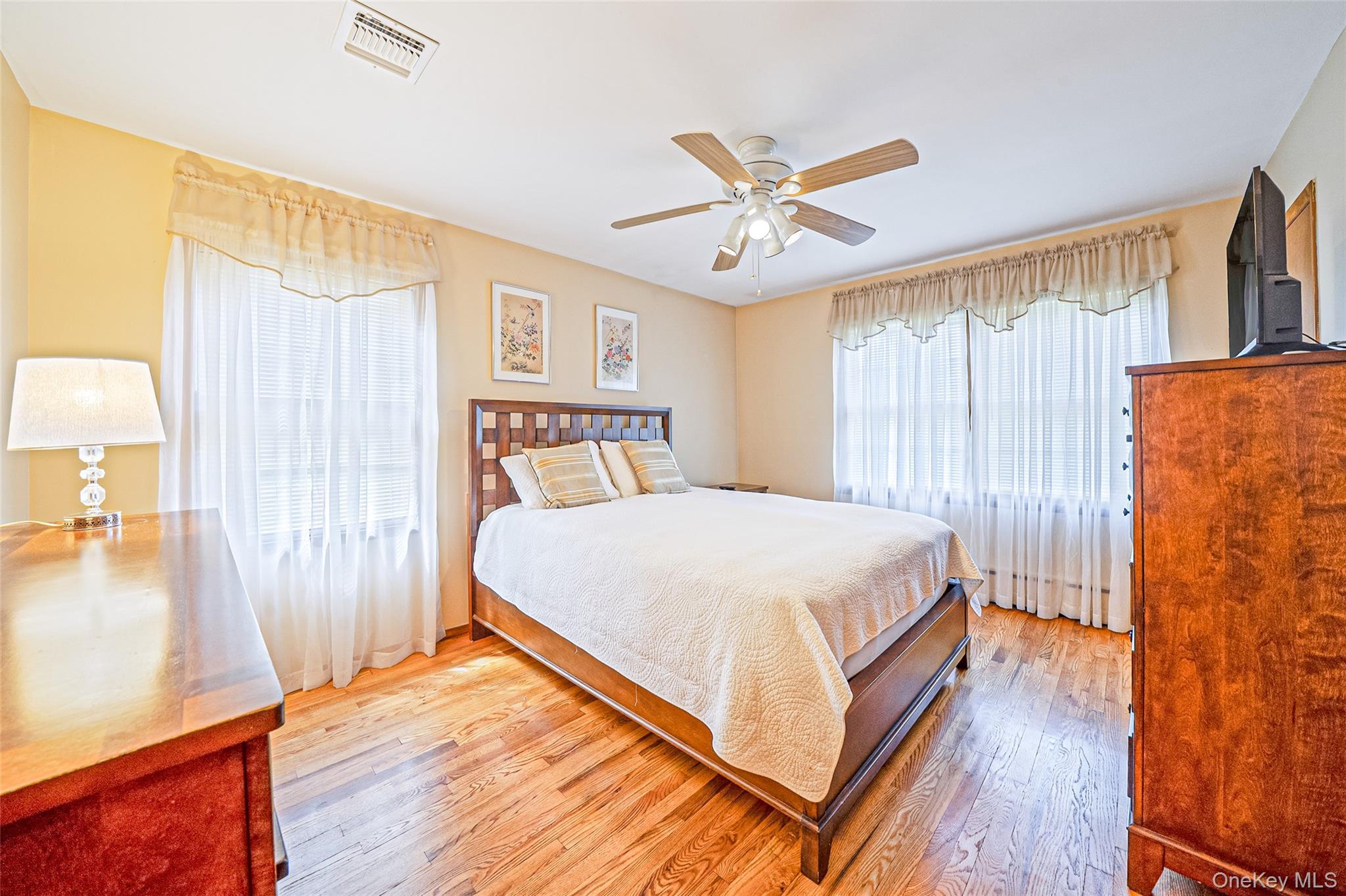 Single Family Avenue C  Nassau County, NY 11050, MLS-1042743-31