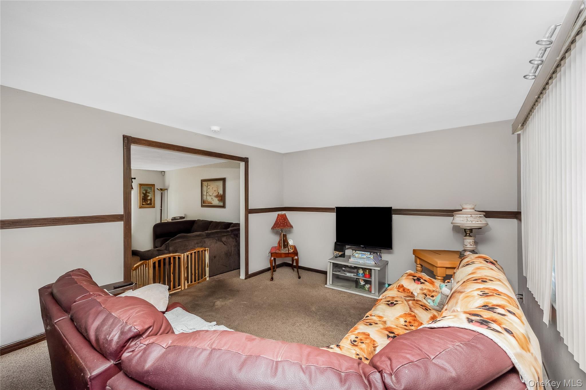 Single Family Shade Tree Lane Suffolk County, NY 11772, MLS-1042770-16
