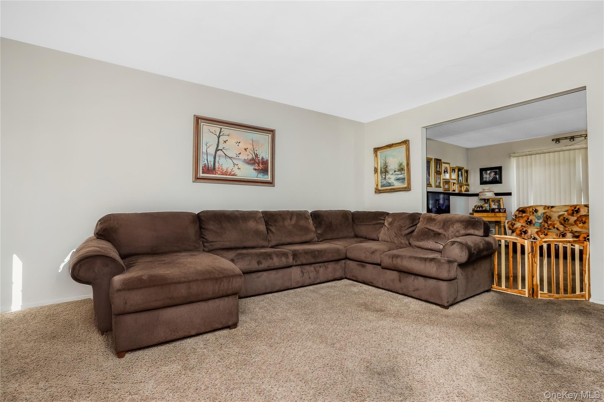 Single Family Shade Tree Lane Suffolk County, NY 11772, MLS-1042770-7