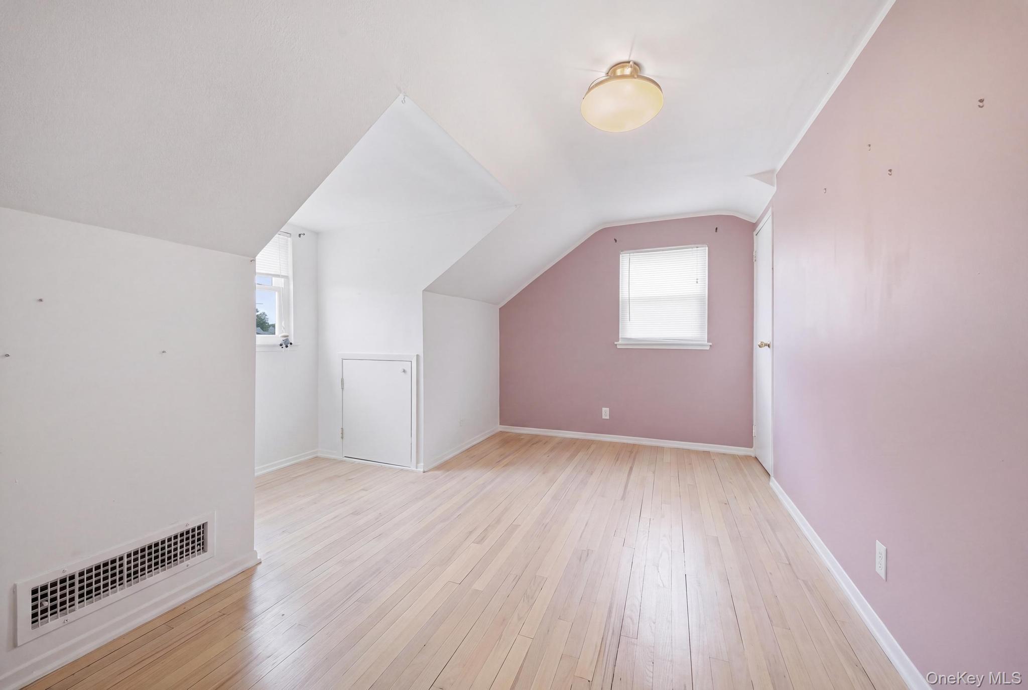Single Family Caroline Avenue Nassau County, NY 11010, MLS-1042838-16