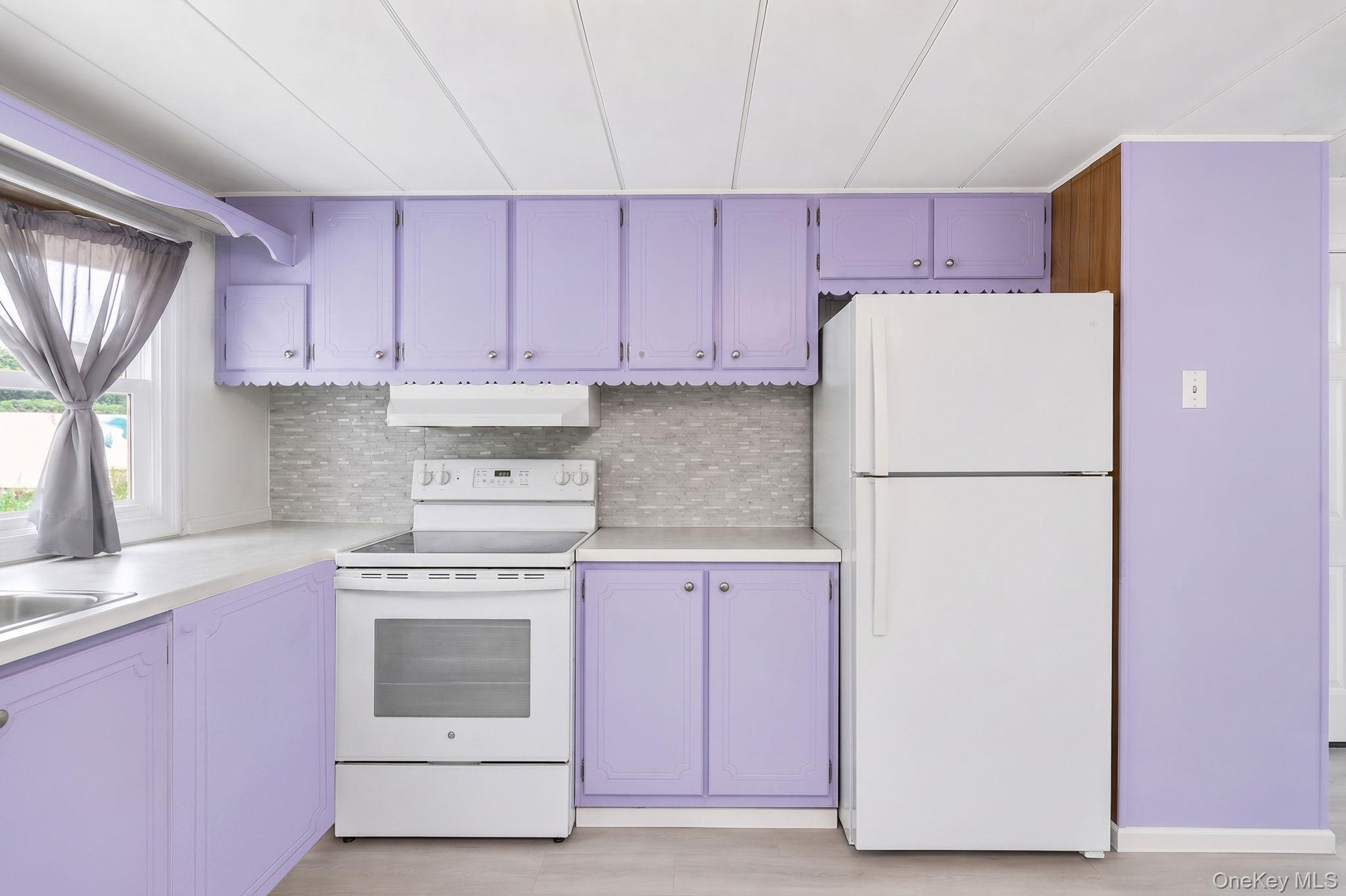 Single Family Valley Forge Drive Suffolk County, NY 11716, MLS-1042885-19