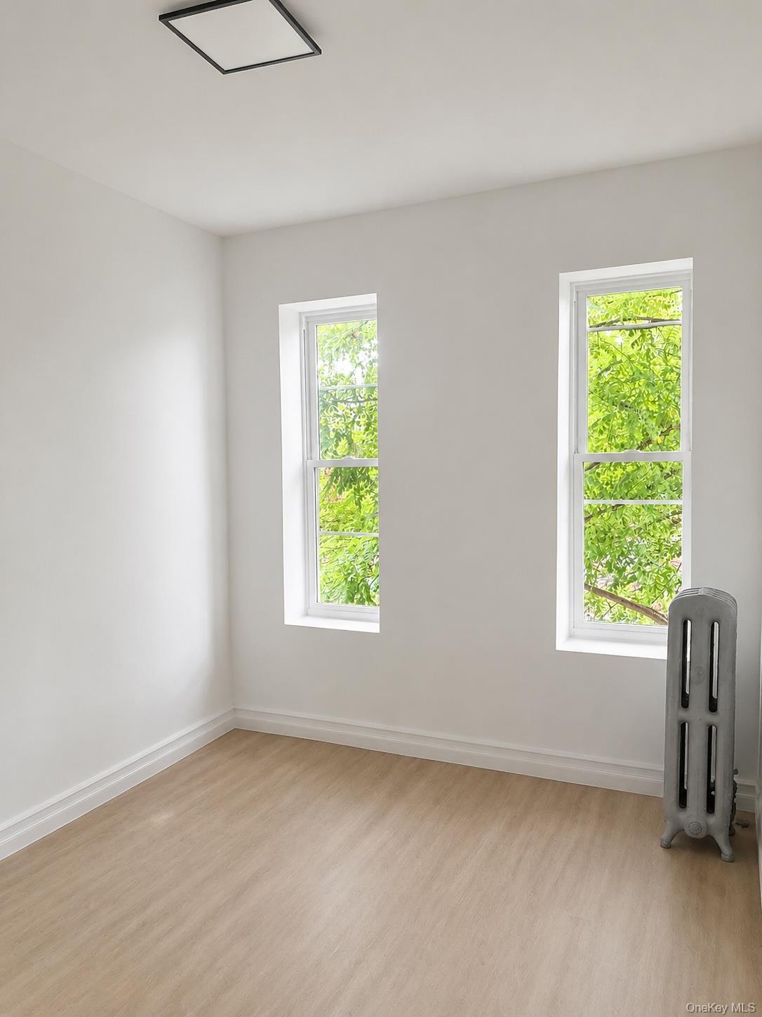 Single Family Strauss Street  Brooklyn, NY 11212, MLS-1042901-4