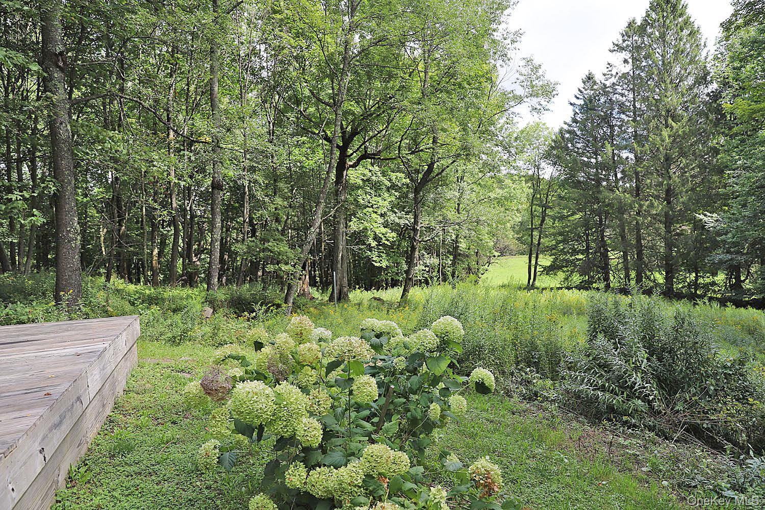 Single Family Klondike Road  Delaware County, NY 13783, MLS-1042908-26