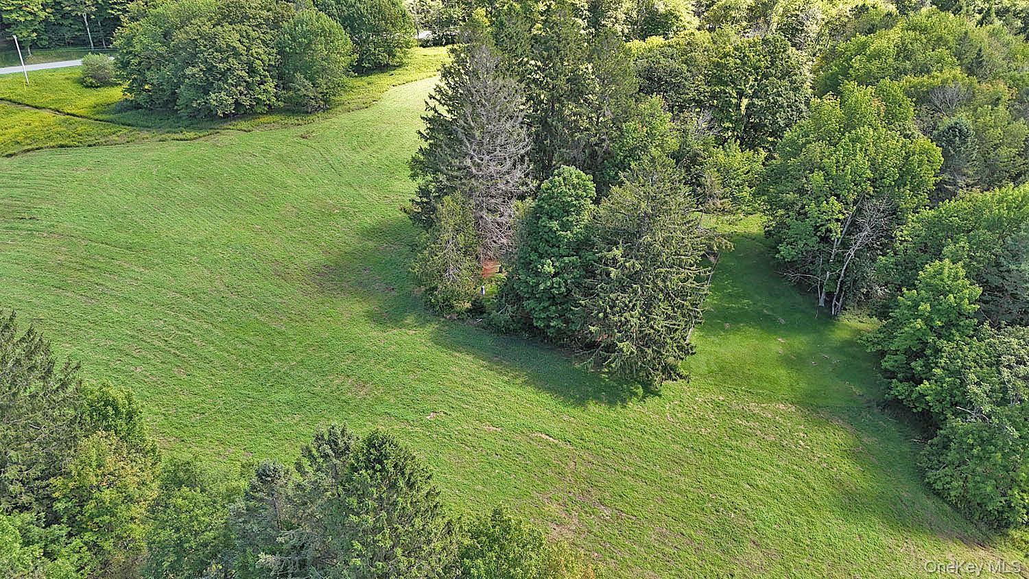 Single Family Klondike Road  Delaware County, NY 13783, MLS-1042908-27